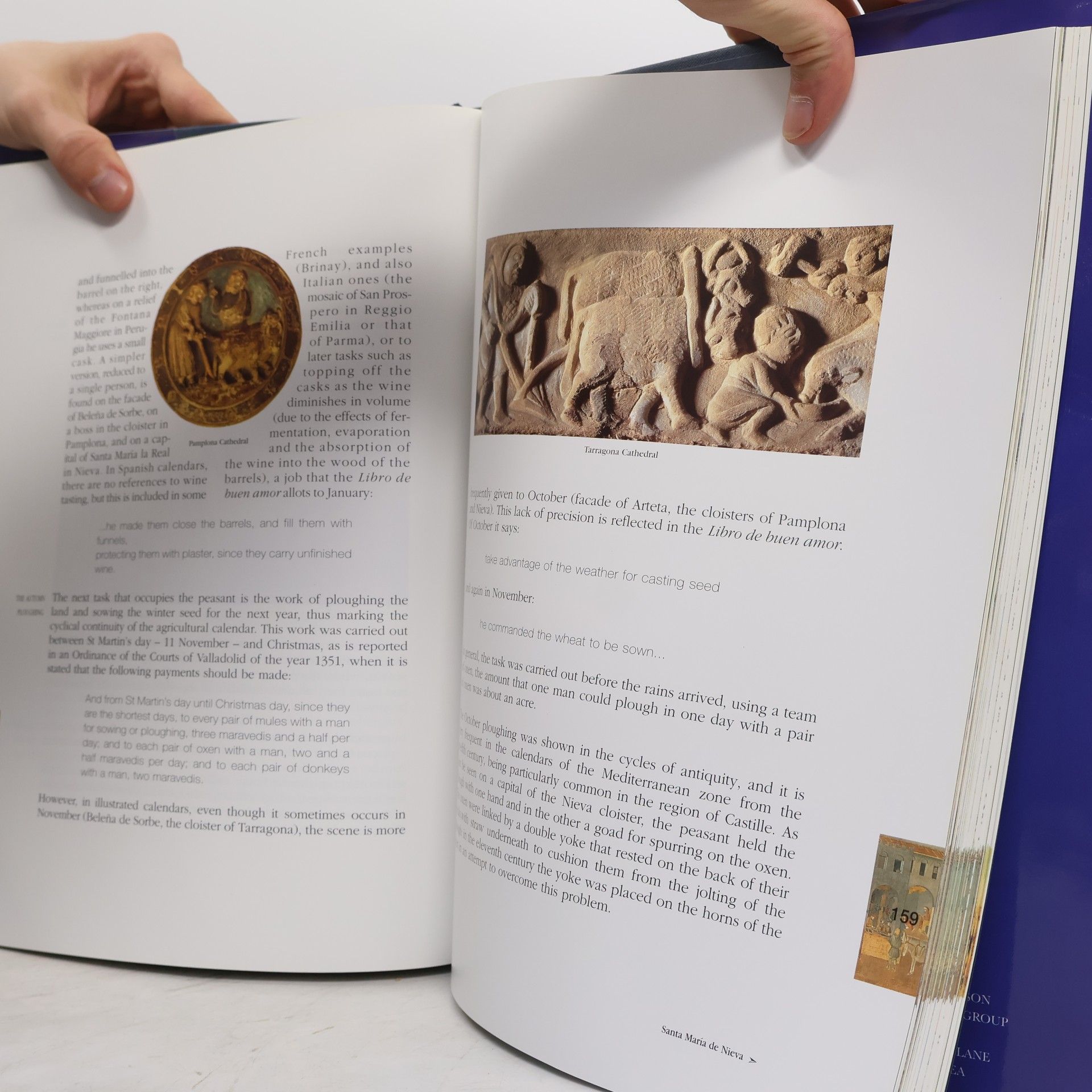 Teresa Pérez Higuera Medieval Calendars