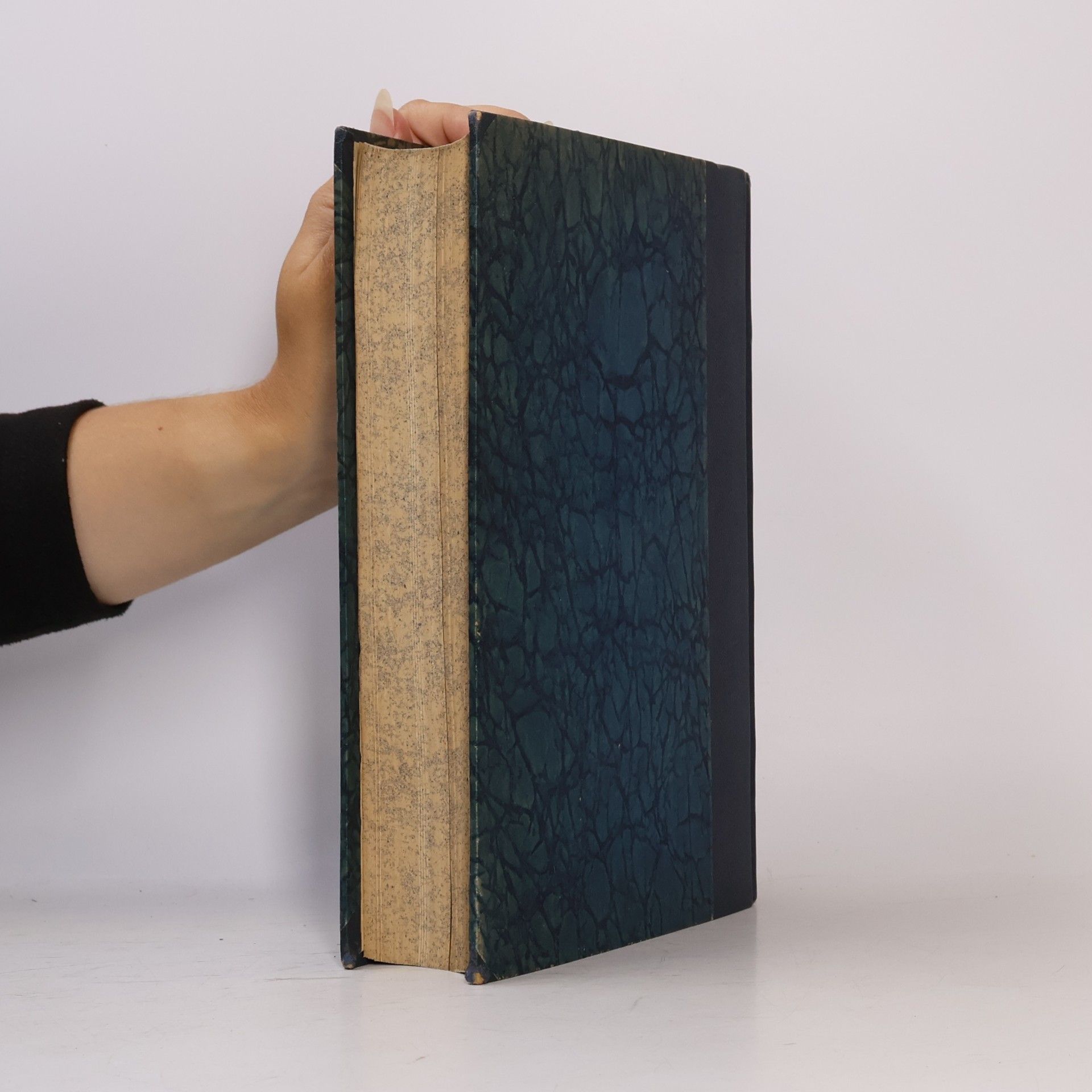Autores varios Hochland: Monatsschrift für alle Gebiete des Wissens, der Literatur und Kunst 2