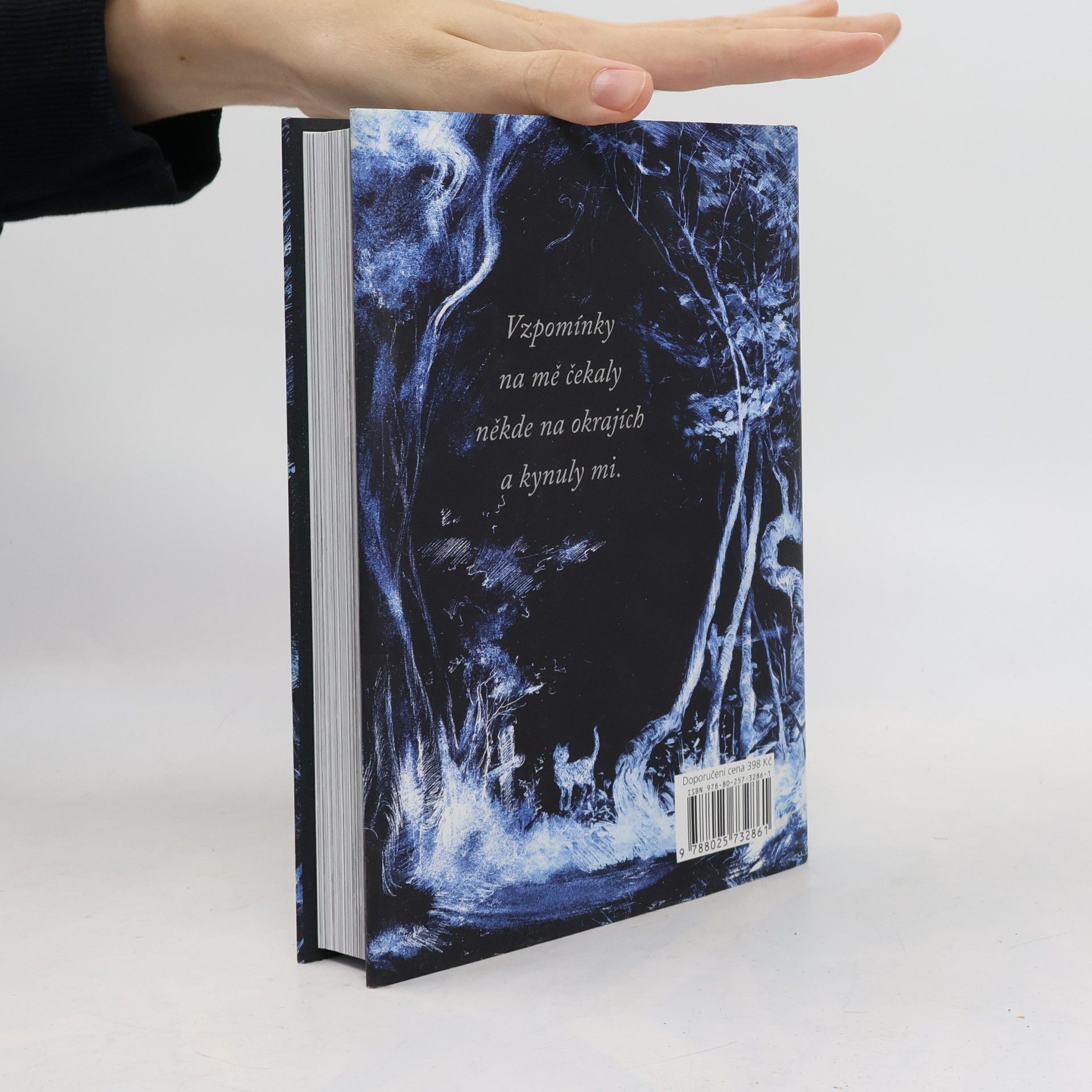 Neil Gaiman Oceán na konci cesty