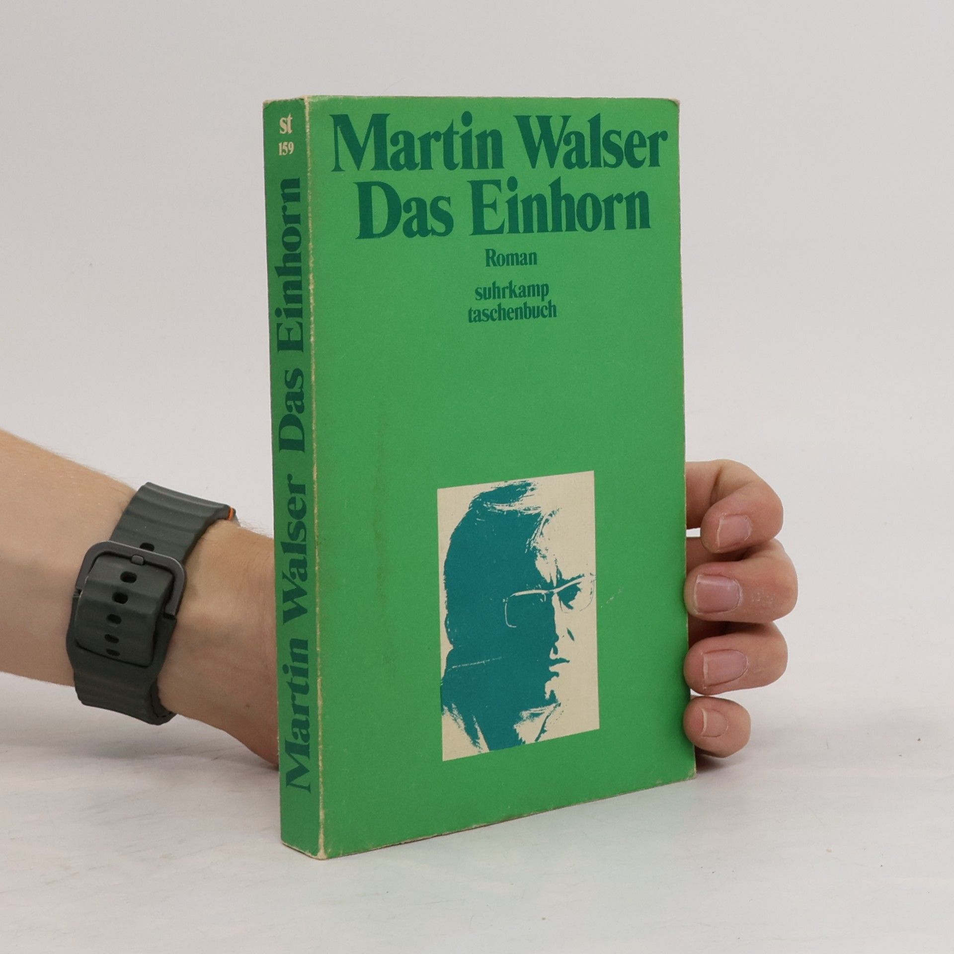 Martin Walser Das Einhorn