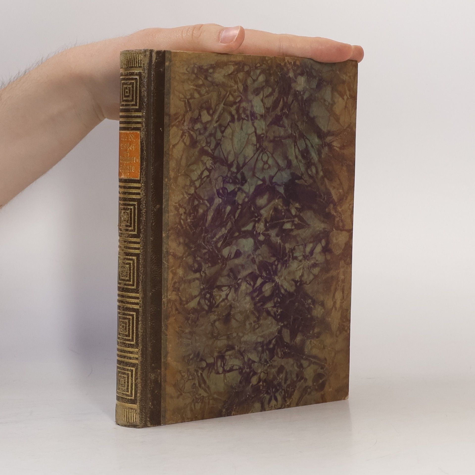 Lew Nikolajewitsch Tolstoi Kreutzer-Sonate und andere Novellen