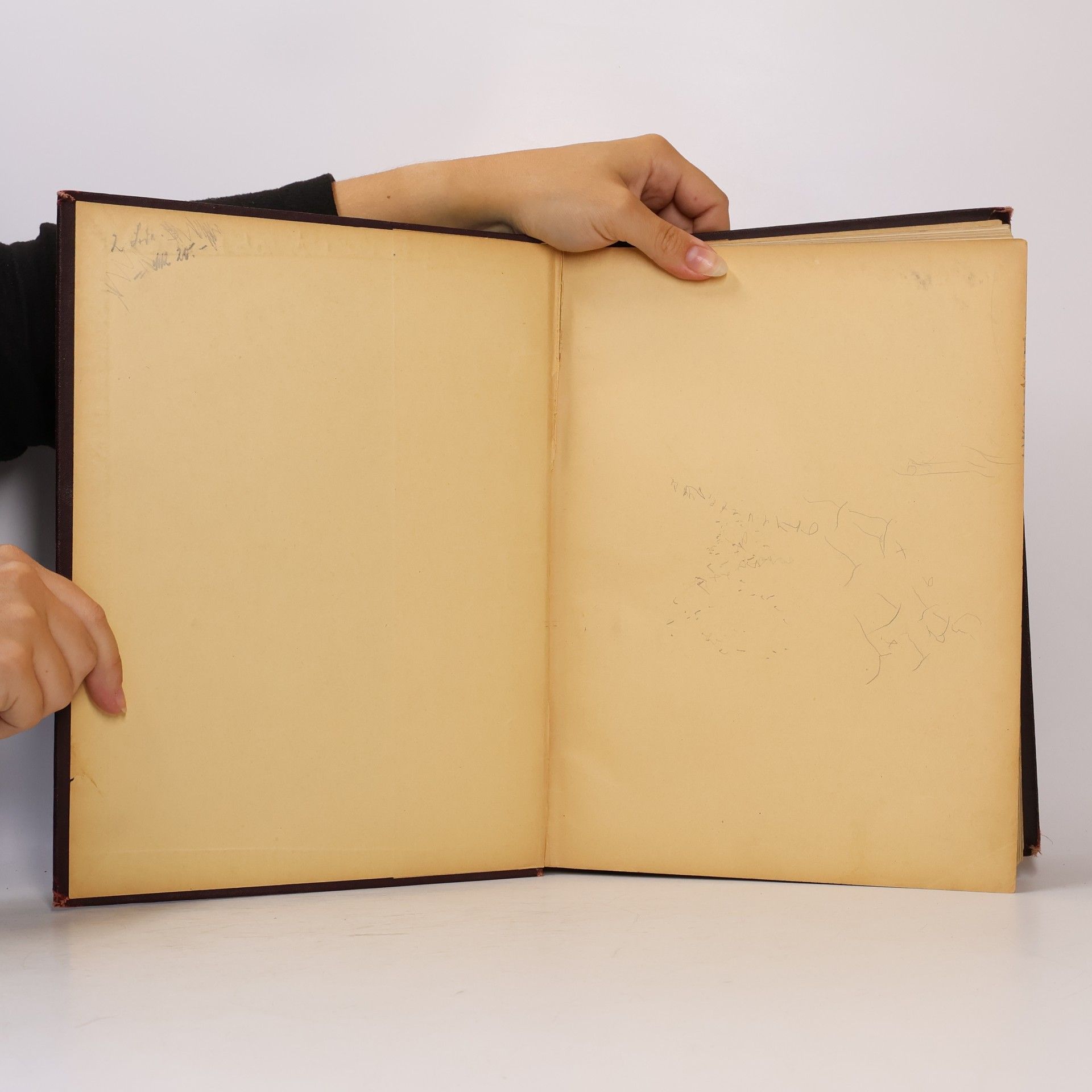 Hector Berlioz Instrumentationslehre I