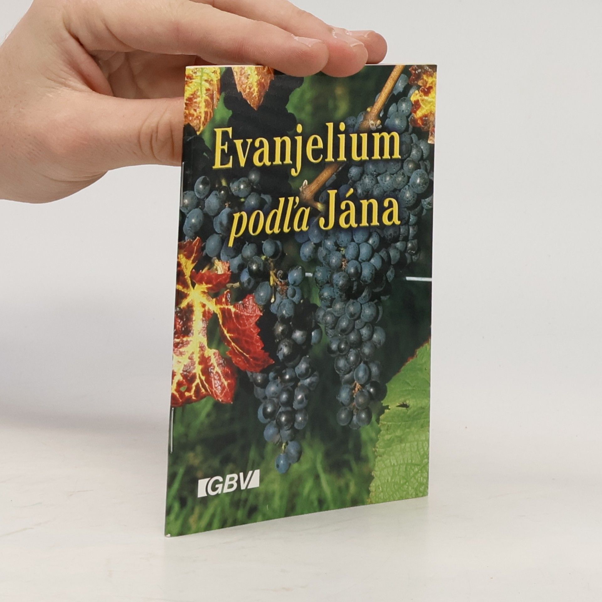 Collectif d'auteurs Evanjelium podľa Jána