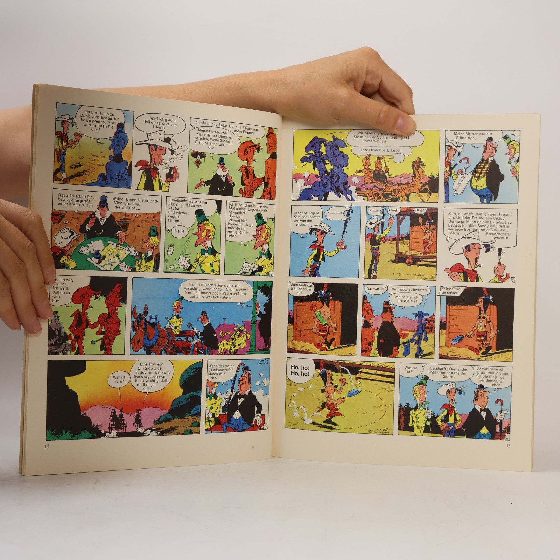 Autorenkollektiv Lucky Luke. Das Greenhorn
