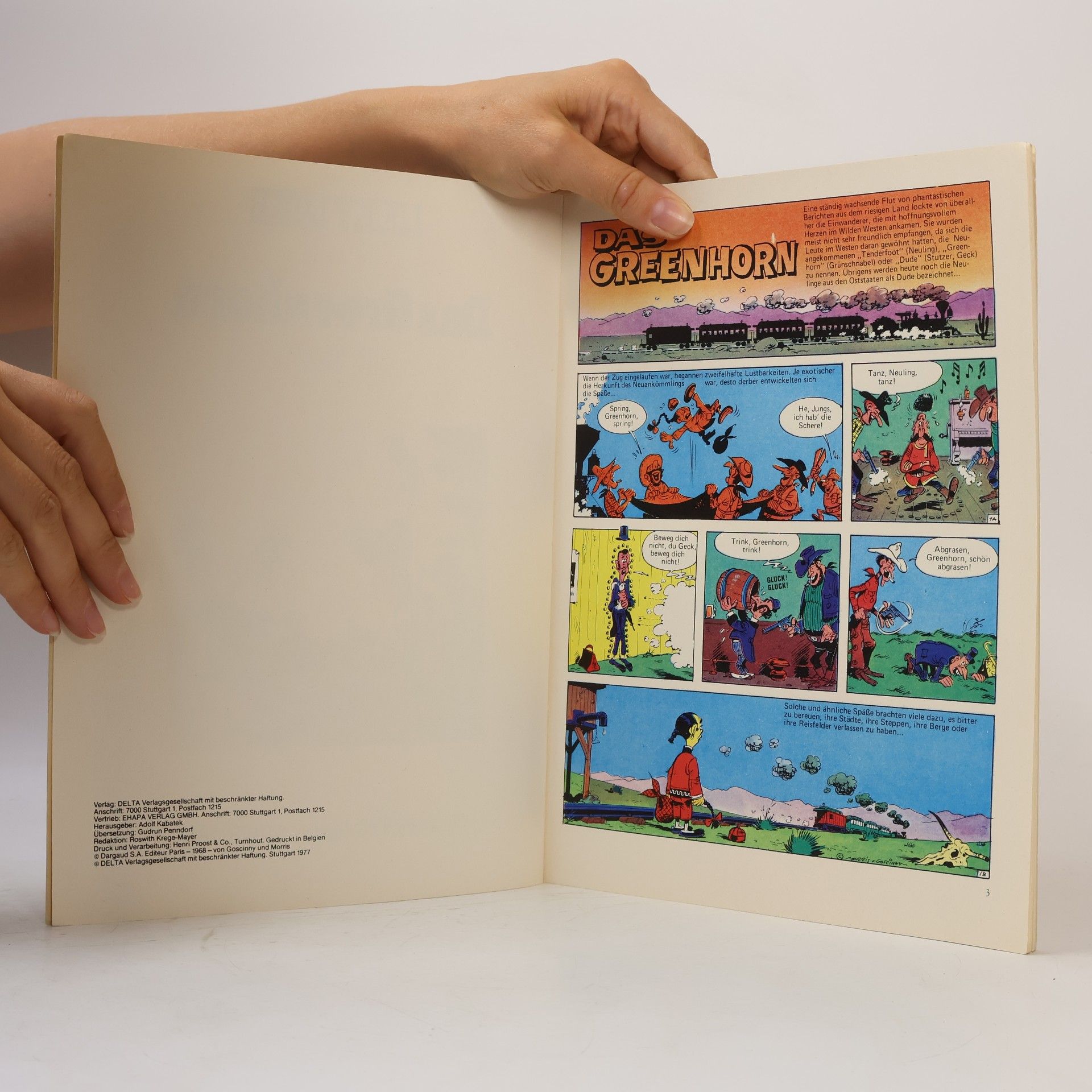 Autorenkollektiv Lucky Luke. Das Greenhorn