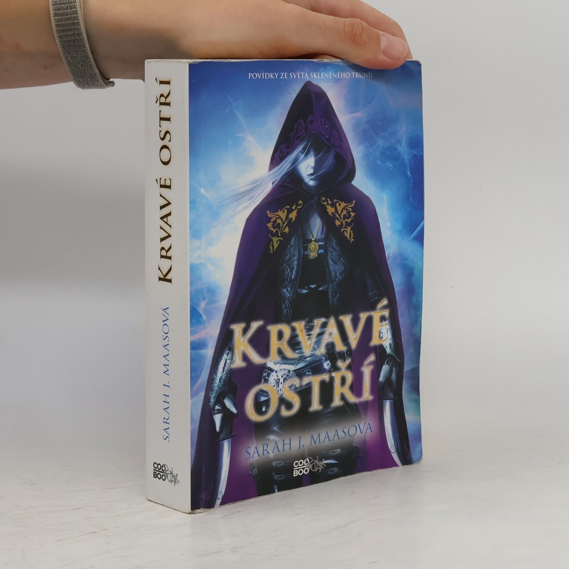 Sarah J. Maas Krvavé ostří