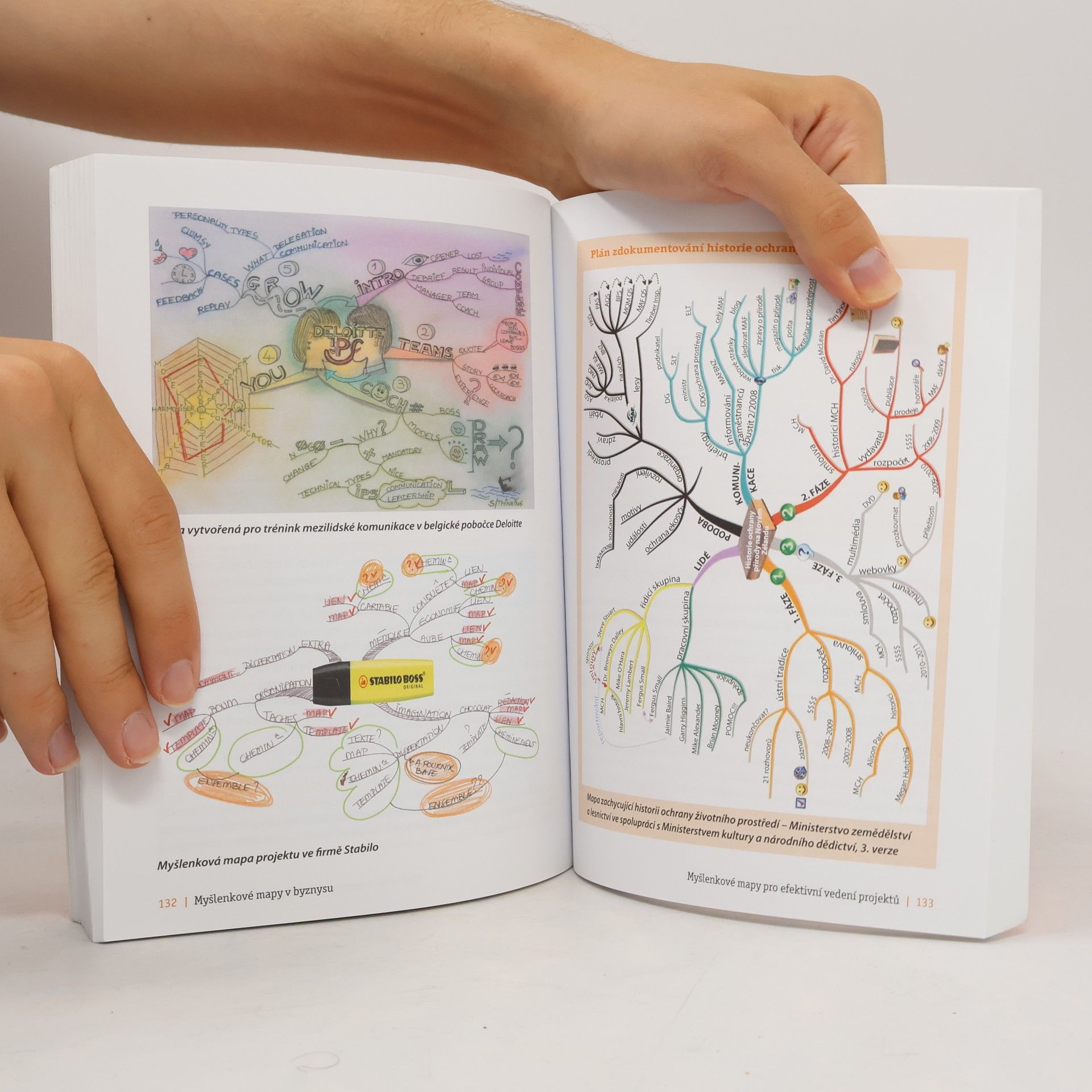 Tony Buzan Myšlenkové mapy v byznysu