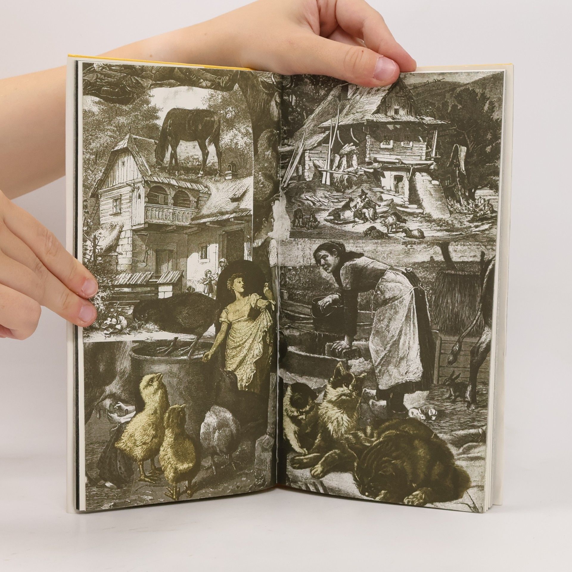 Miroslav Huptych Černá slepice, aneb, Kterak se líhne bazalíček, jenž do domu štěstí přináší