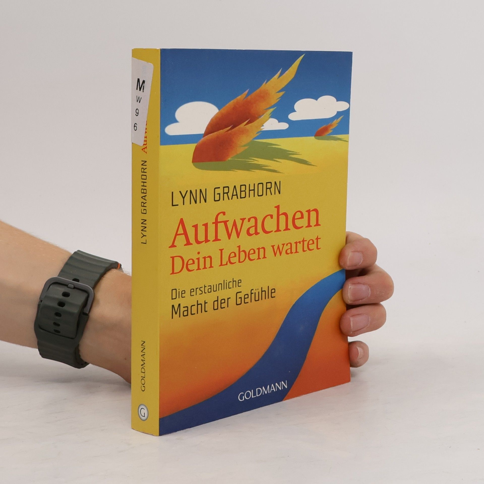 Lynn Grabhorn Aufwachen. Dein Leben wartet