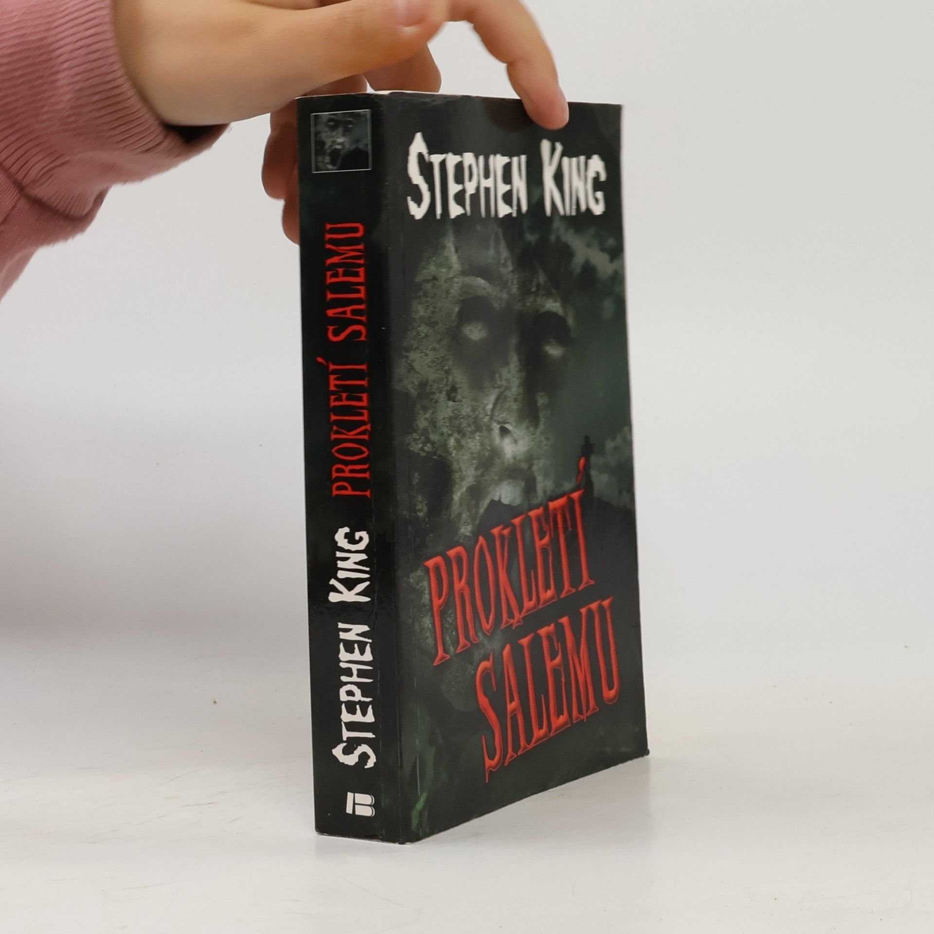 Stephen King Prokletí Salemu