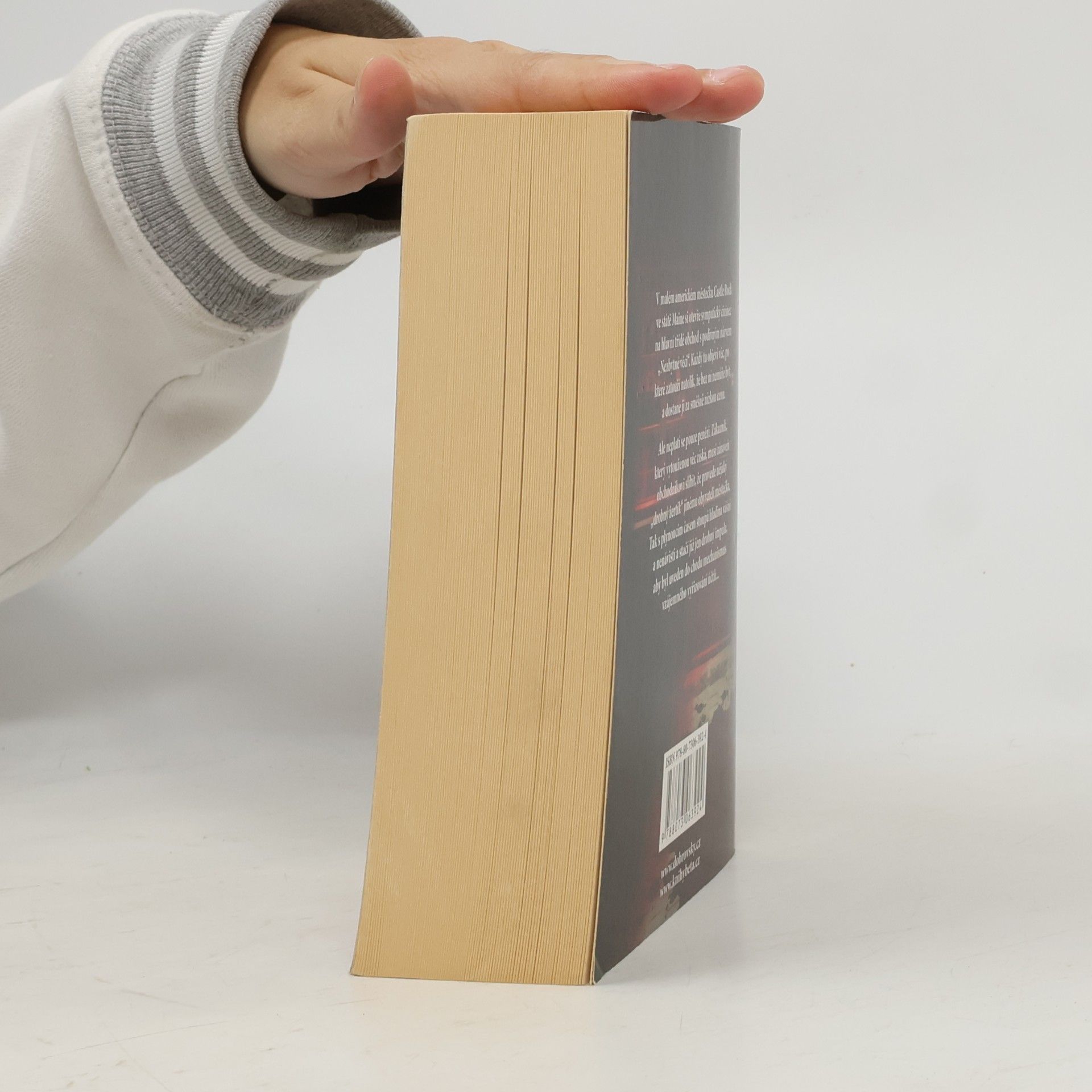 Stephen King Nezbytné věci
