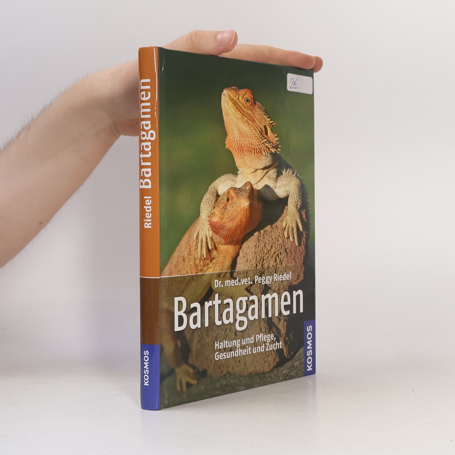 Peggy Riedel Bartagamen