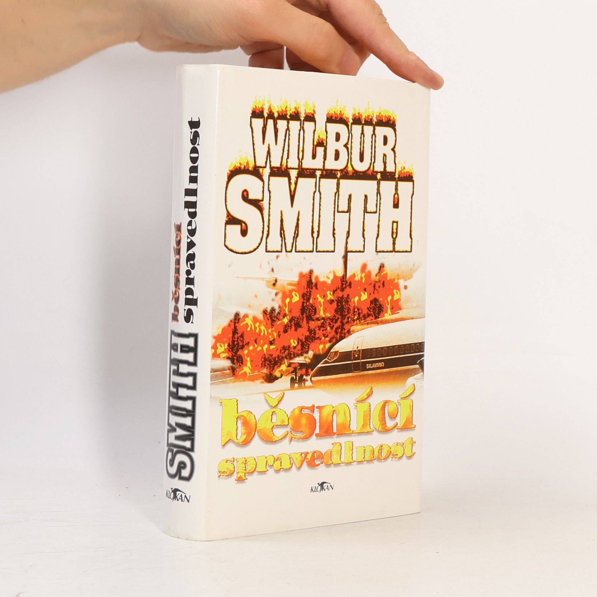 Wilbur Smith Běsnící spravedlnost
