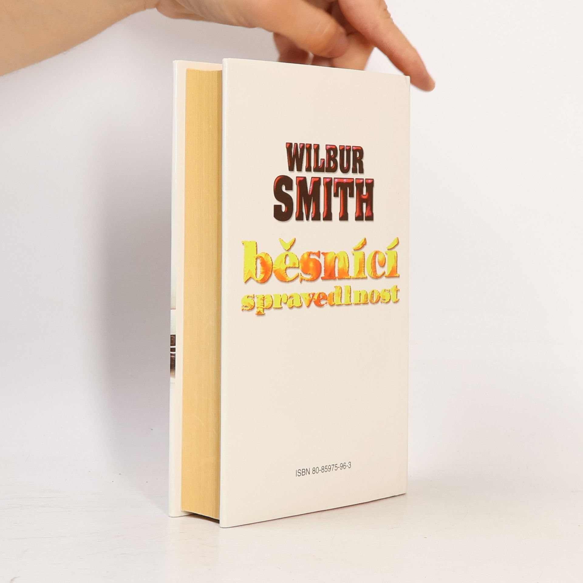 Wilbur Smith Běsnící spravedlnost