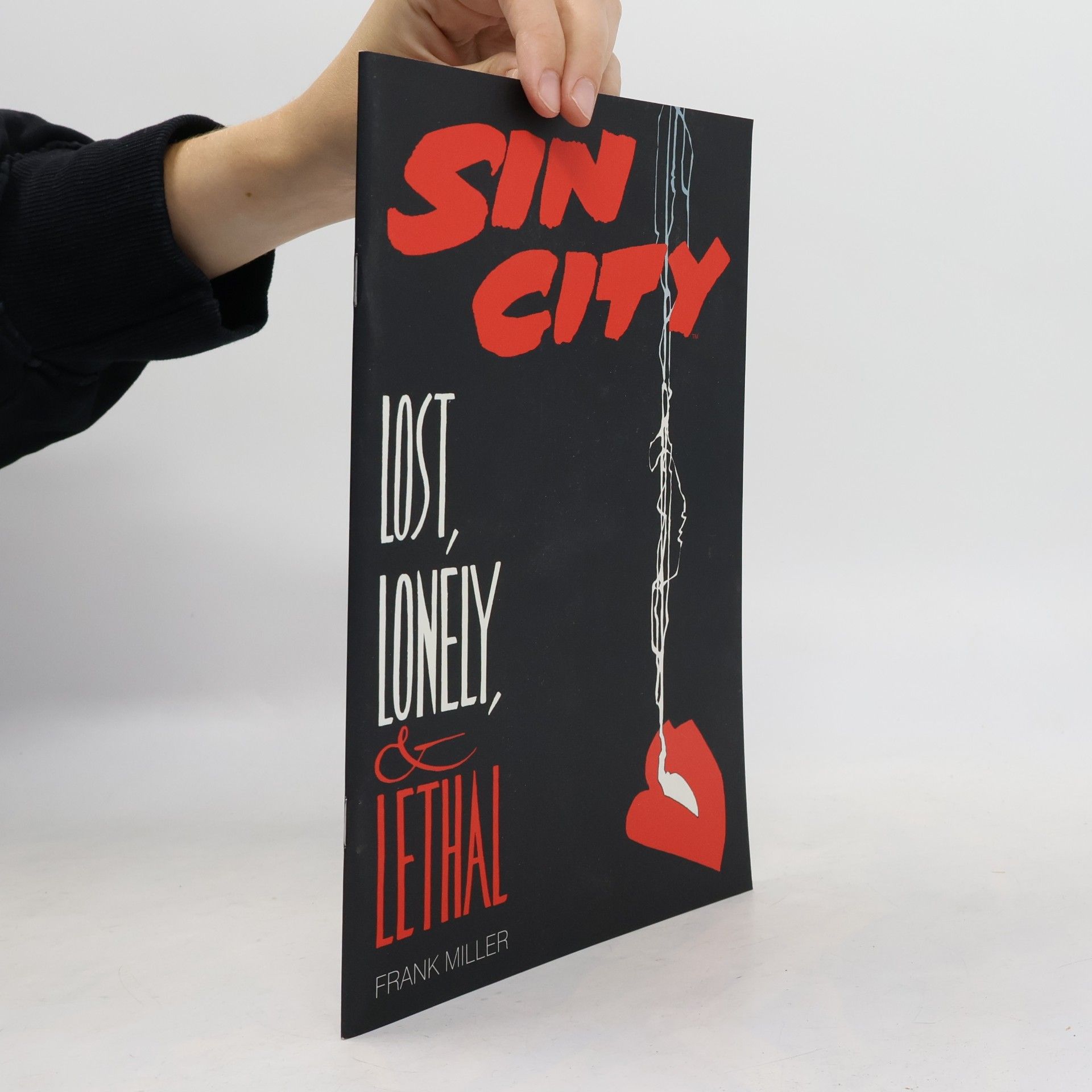 Frank Miller Sin City Lost, Lonely & Lethal