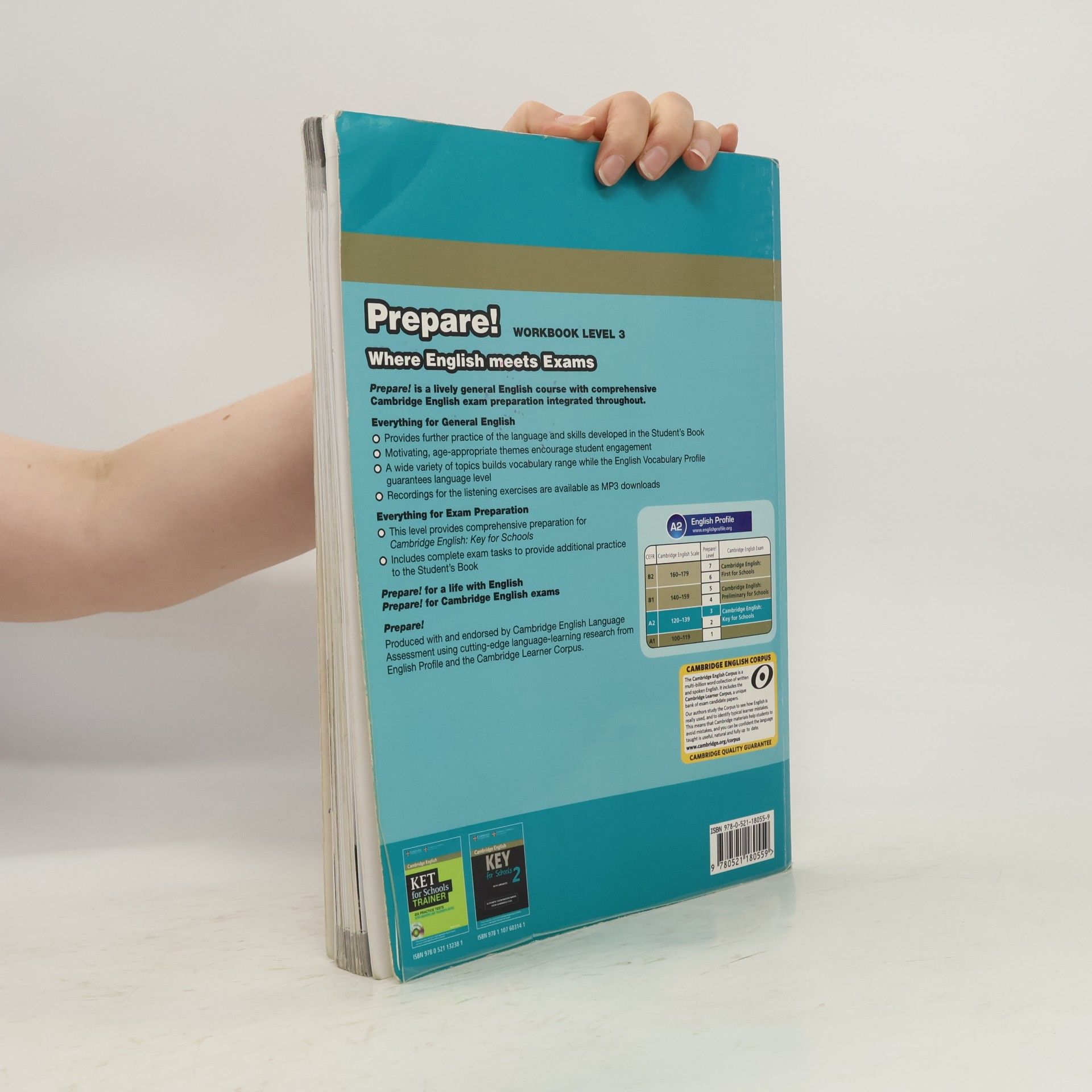 Garan Holcombe Prepare! : workbook : level 3