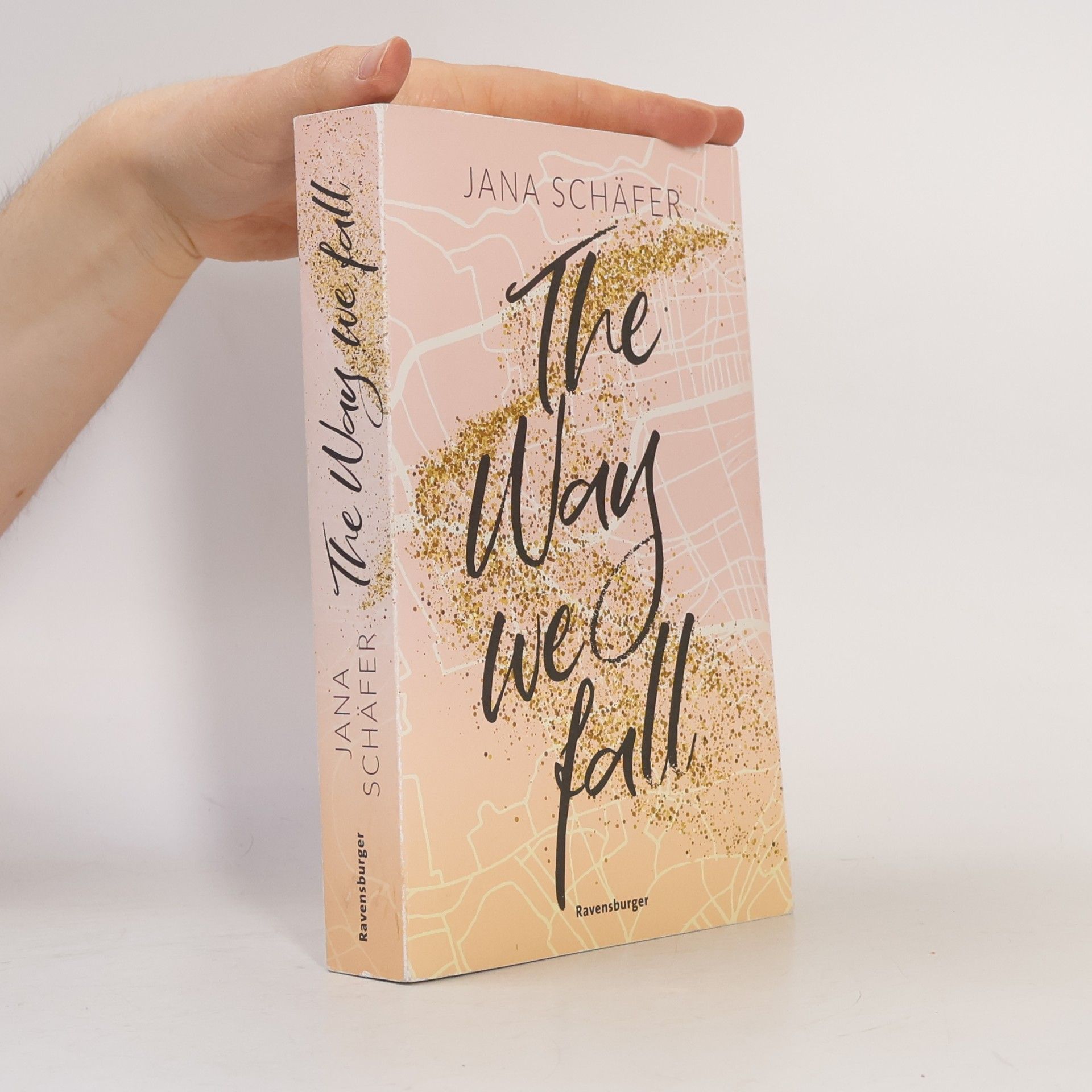 Jana Schäfer The Way We Fall