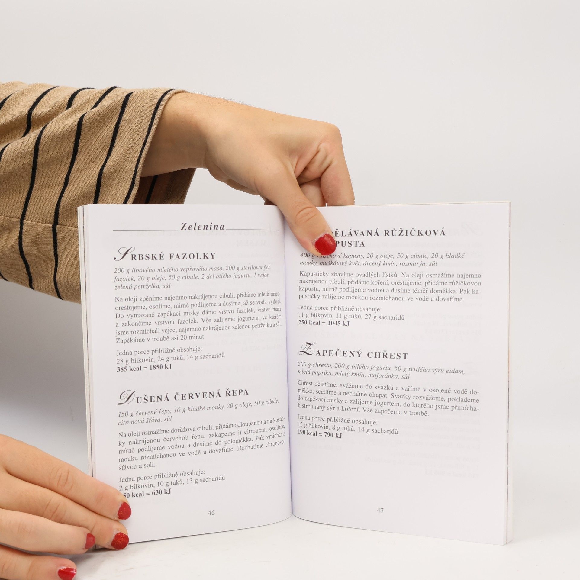 Autorenkollektiv Kuchařka při onemocnění žaludku