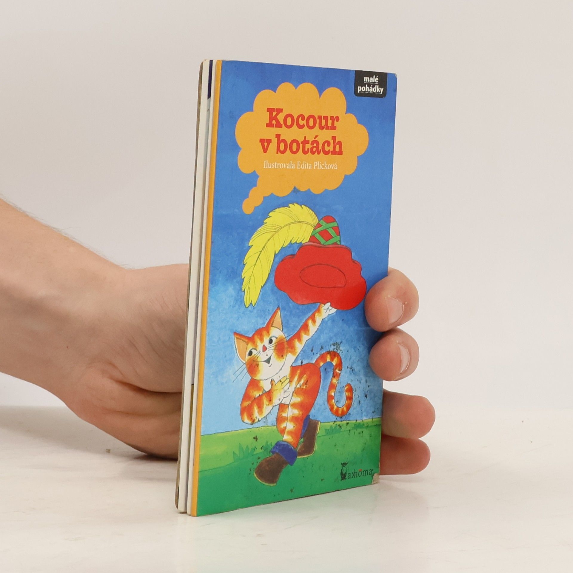 Plicková Edita Kocour v botách