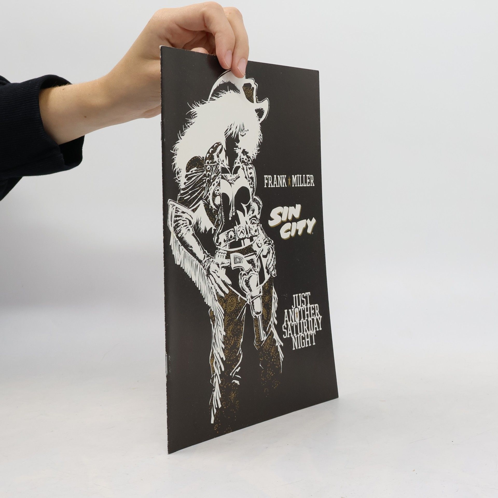 Frank Miller Sin City: Just Another Saturday Night