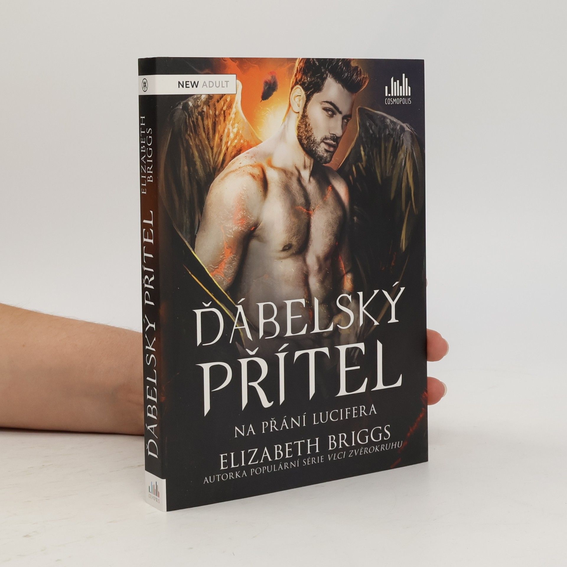 Elizabeth Briggs Ďábelský přítel. Na přání Lucifera