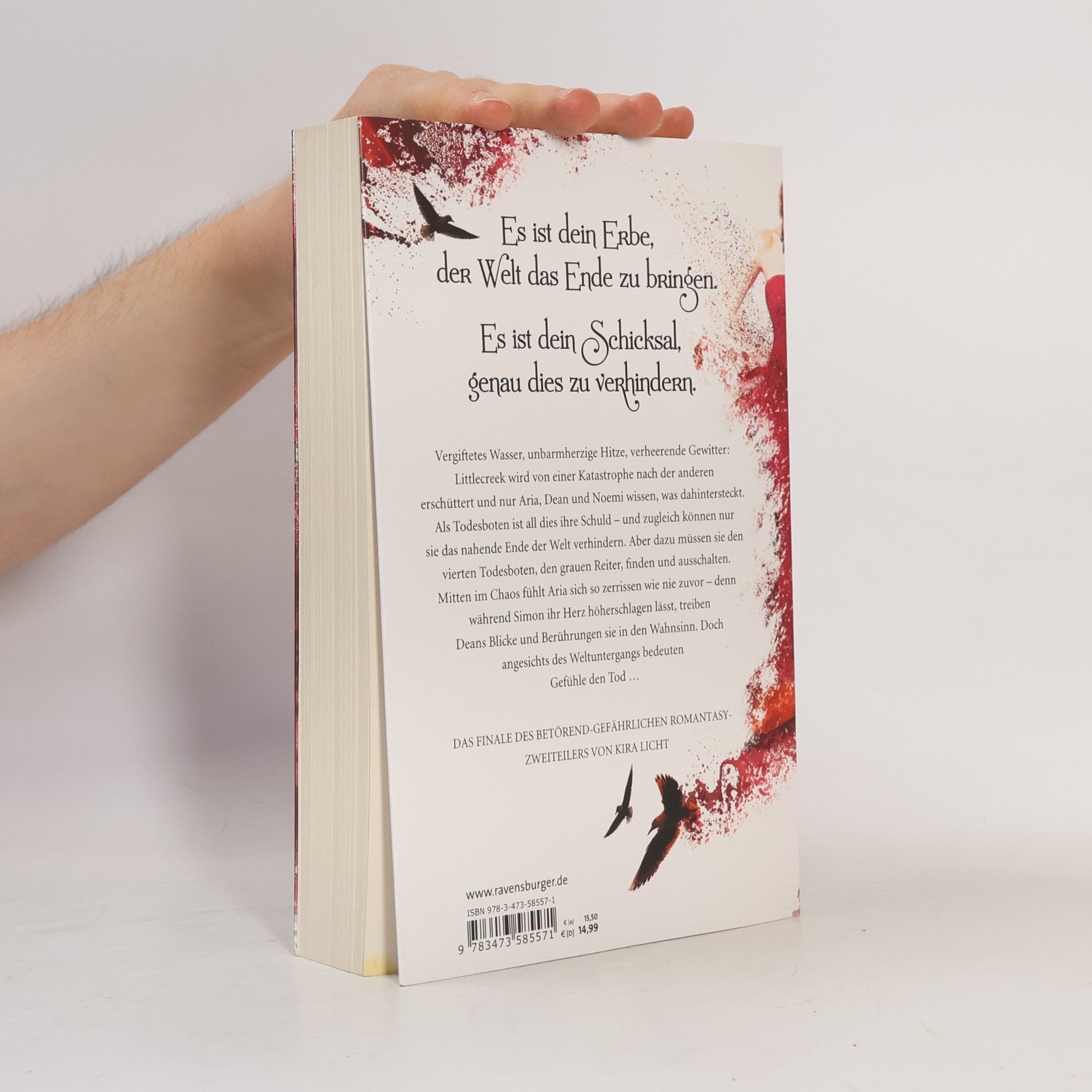 Kira Licht Lovely Curse: Botin des Schicksals