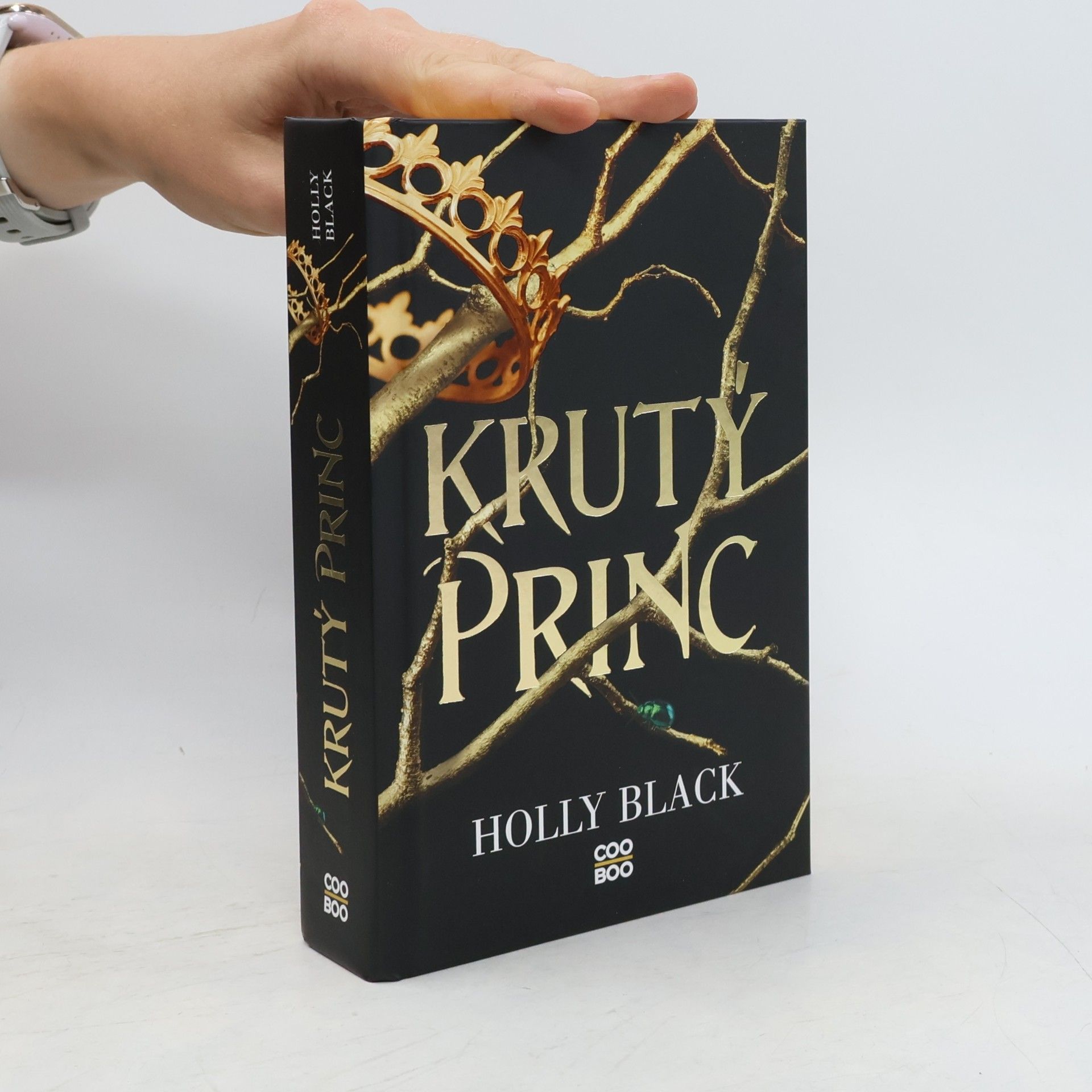 Holly Black Krutý princ