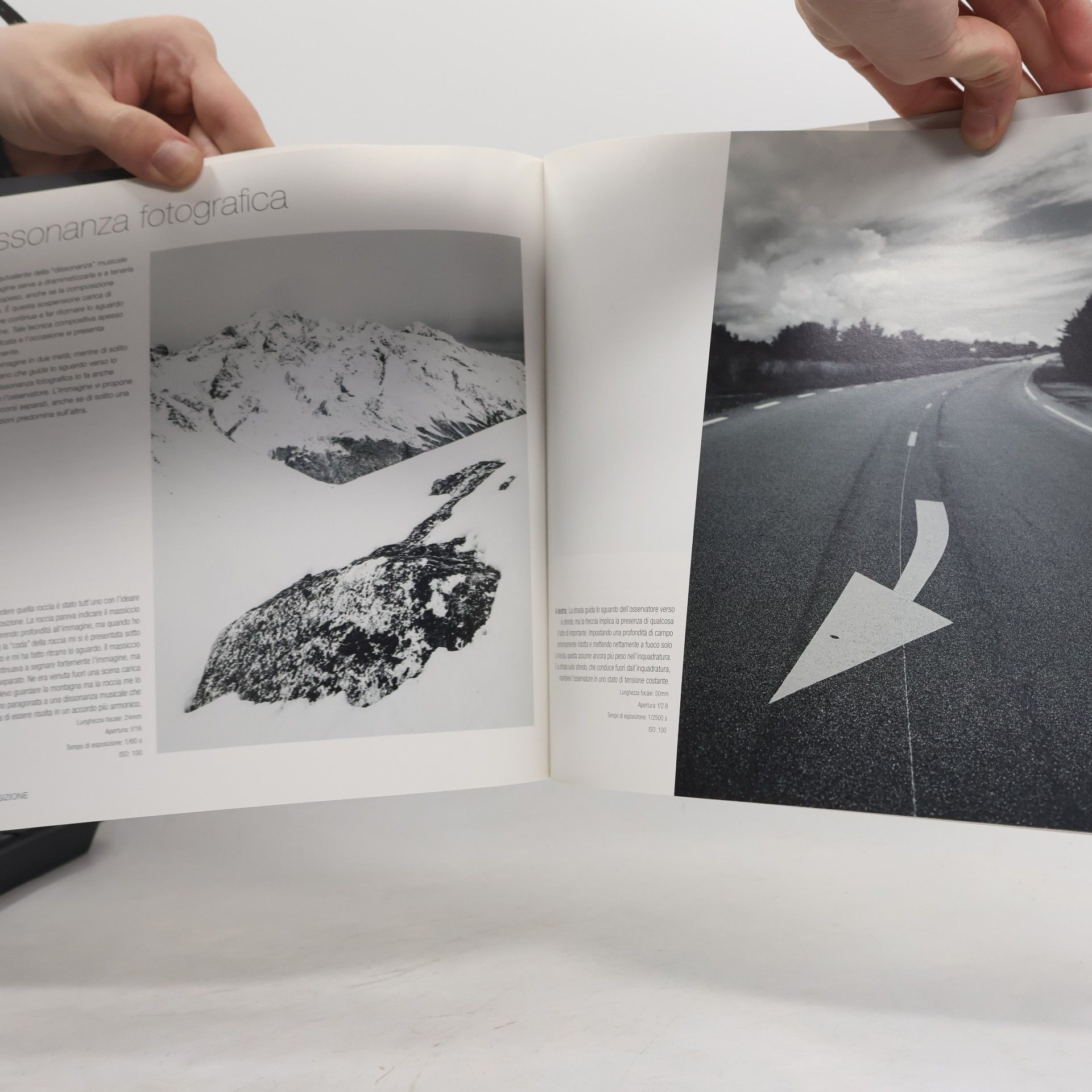 Helen Walmsley-Johnson Bianco e nero. Corso completo di tecnica fotografica (I corsi di fotografia National Geographic)