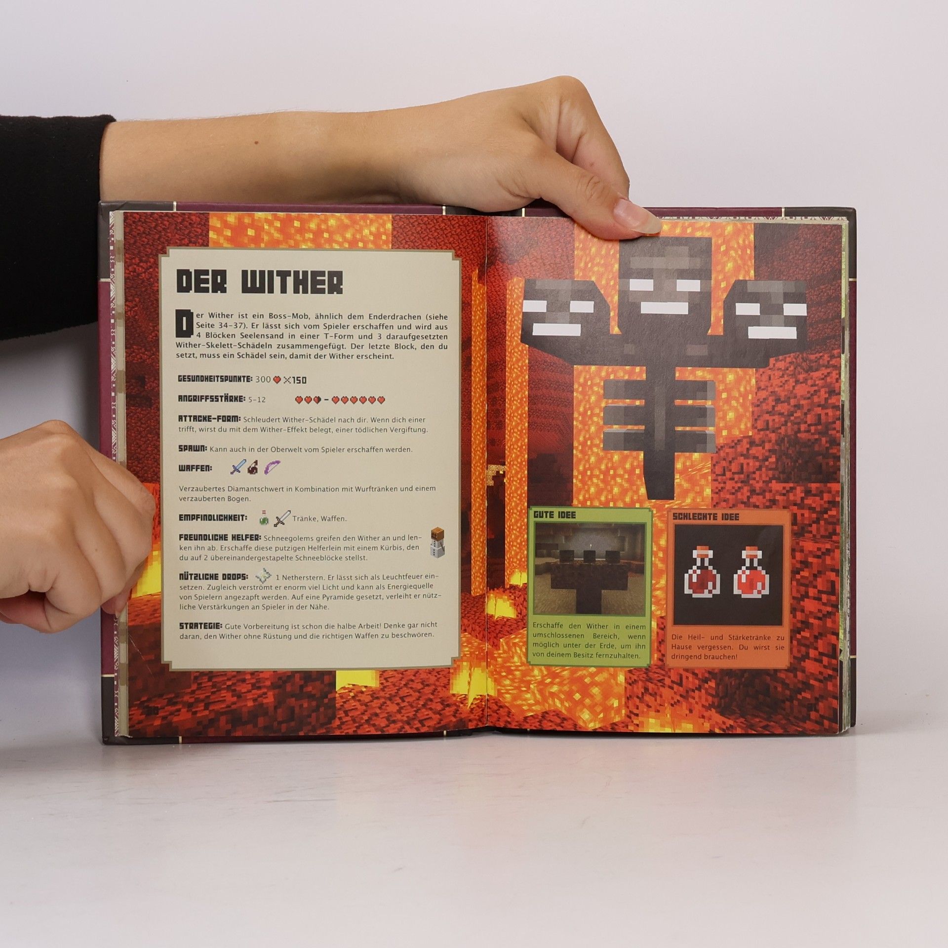 Autorenkollektiv Minecraft. Das Kämpfer-Handbuch
