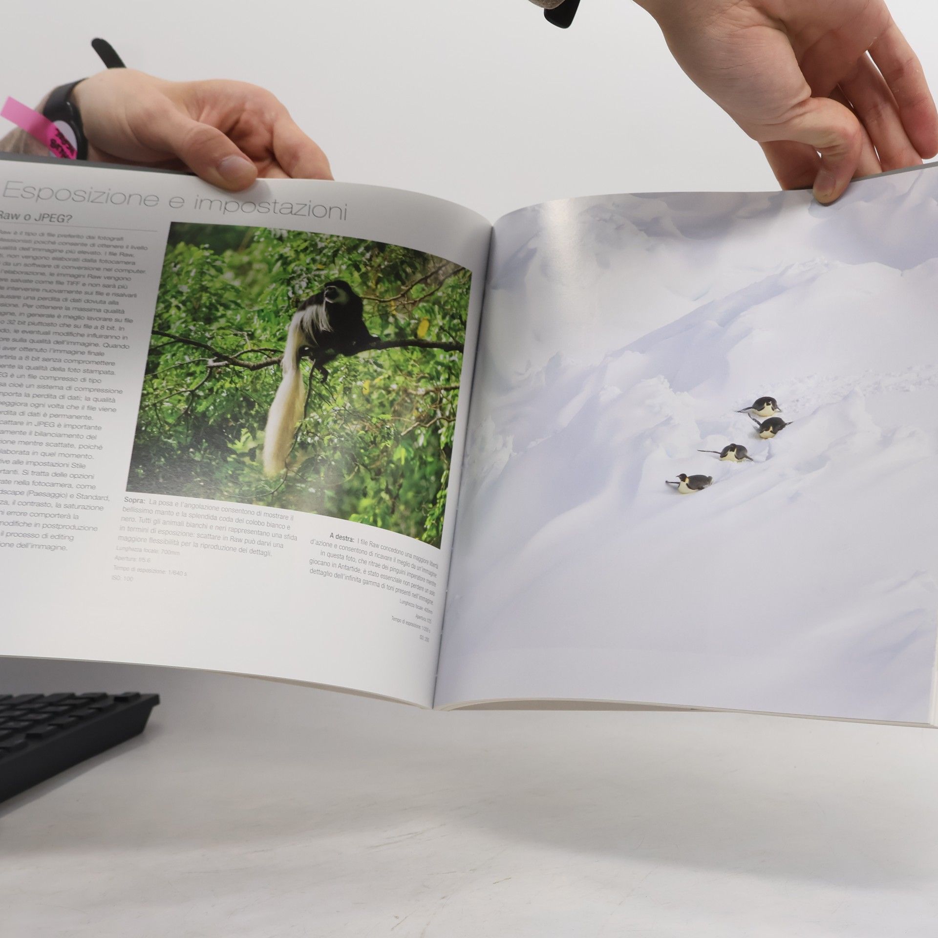 Elisabetta Querci Natura selvaggia. Corso completo di tecnica fotografica