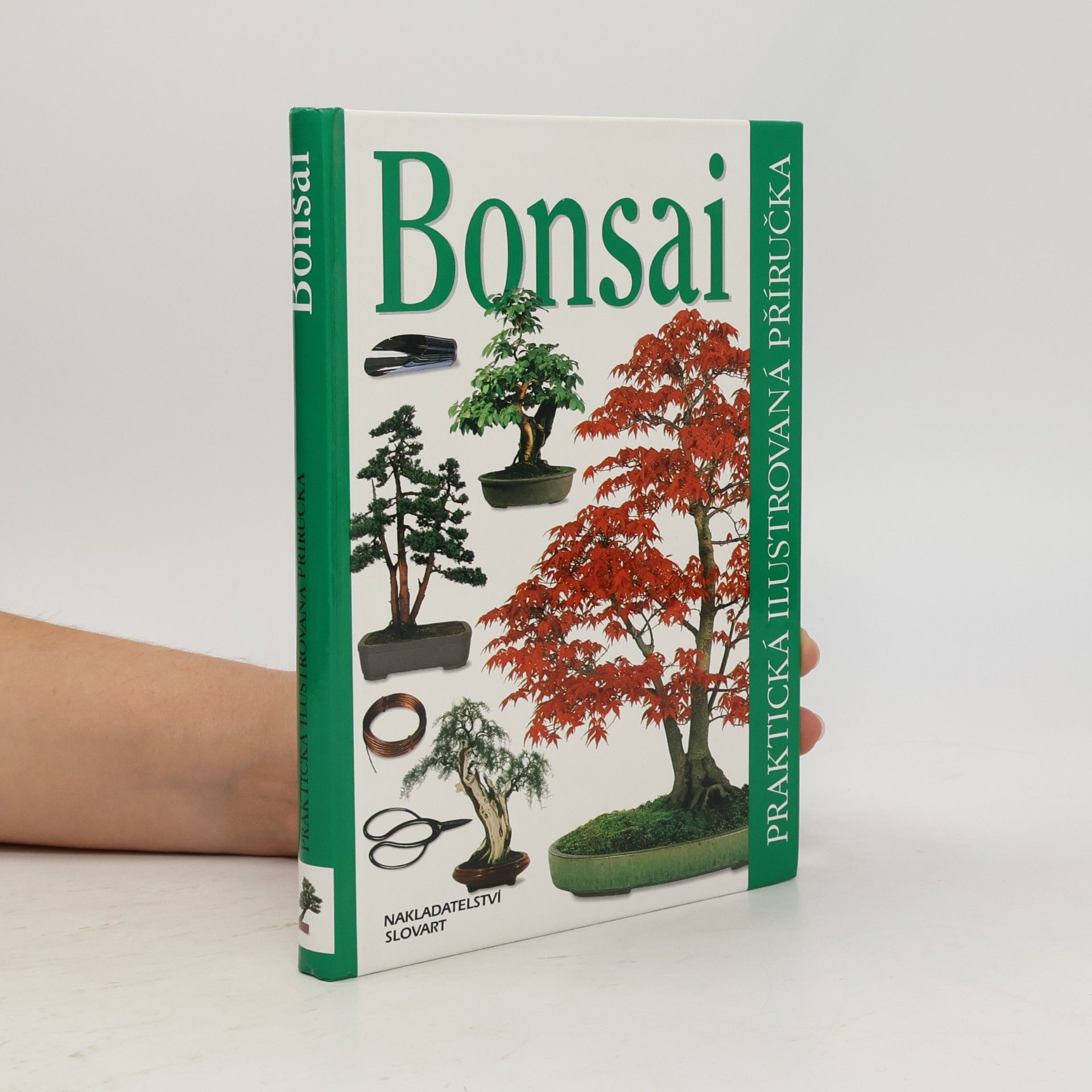 Dana Wiesnerová Bonsai. Praktická ilustrovaná příručka