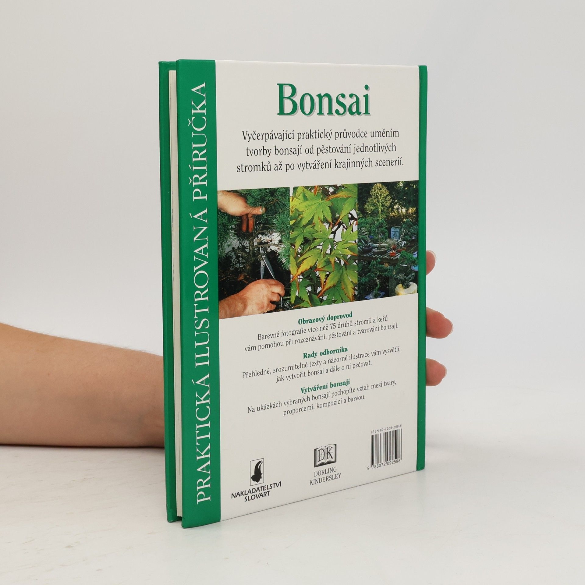Dana Wiesnerová Bonsai. Praktická ilustrovaná příručka