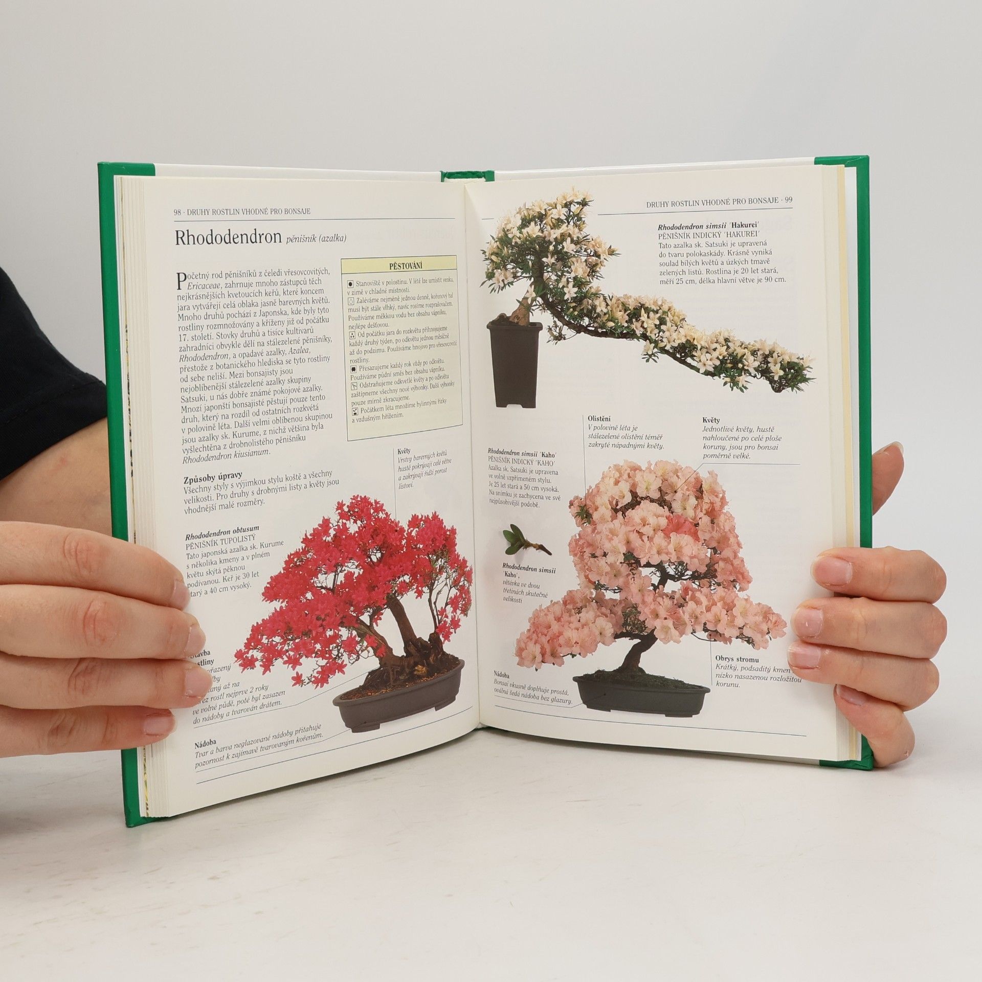Dana Wiesnerová Bonsai. Praktická ilustrovaná příručka