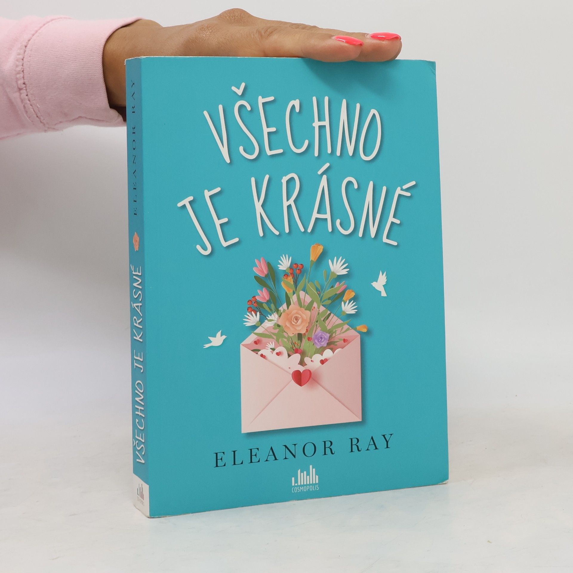 Eleanor Ray Všechno je krásné