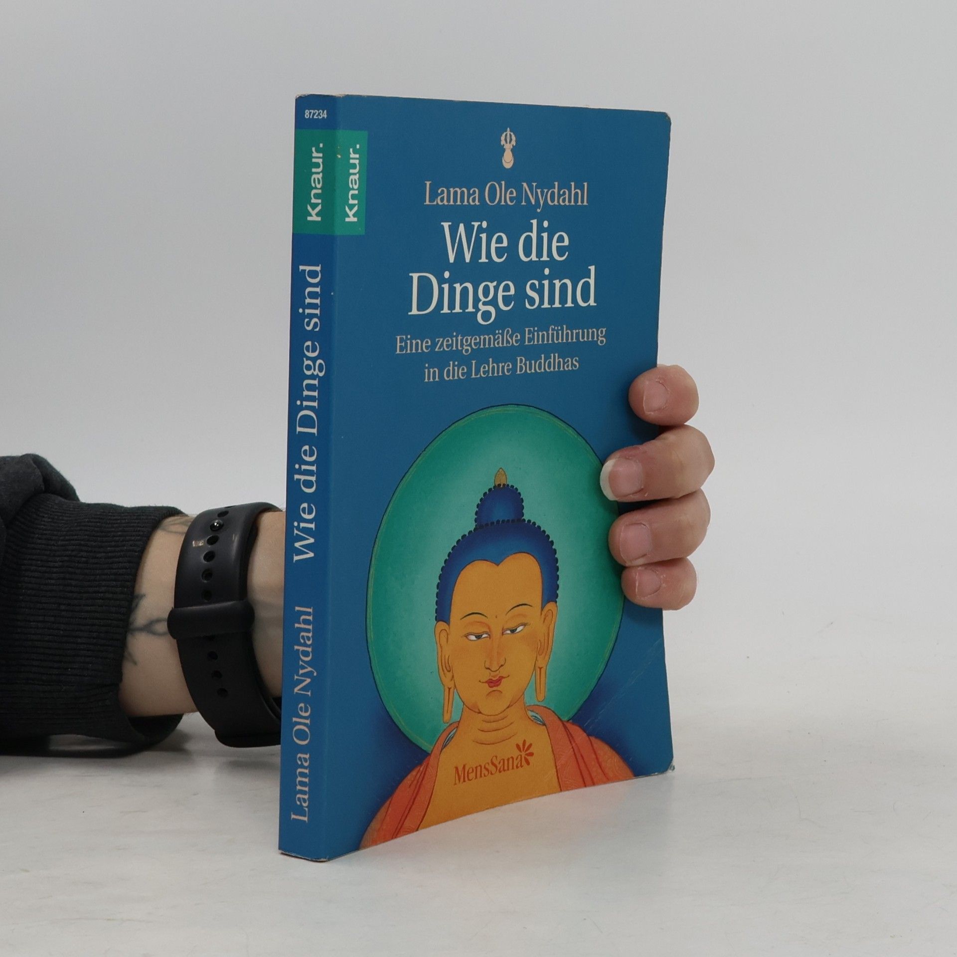 Ole Nydahl Wie die Dinge sind