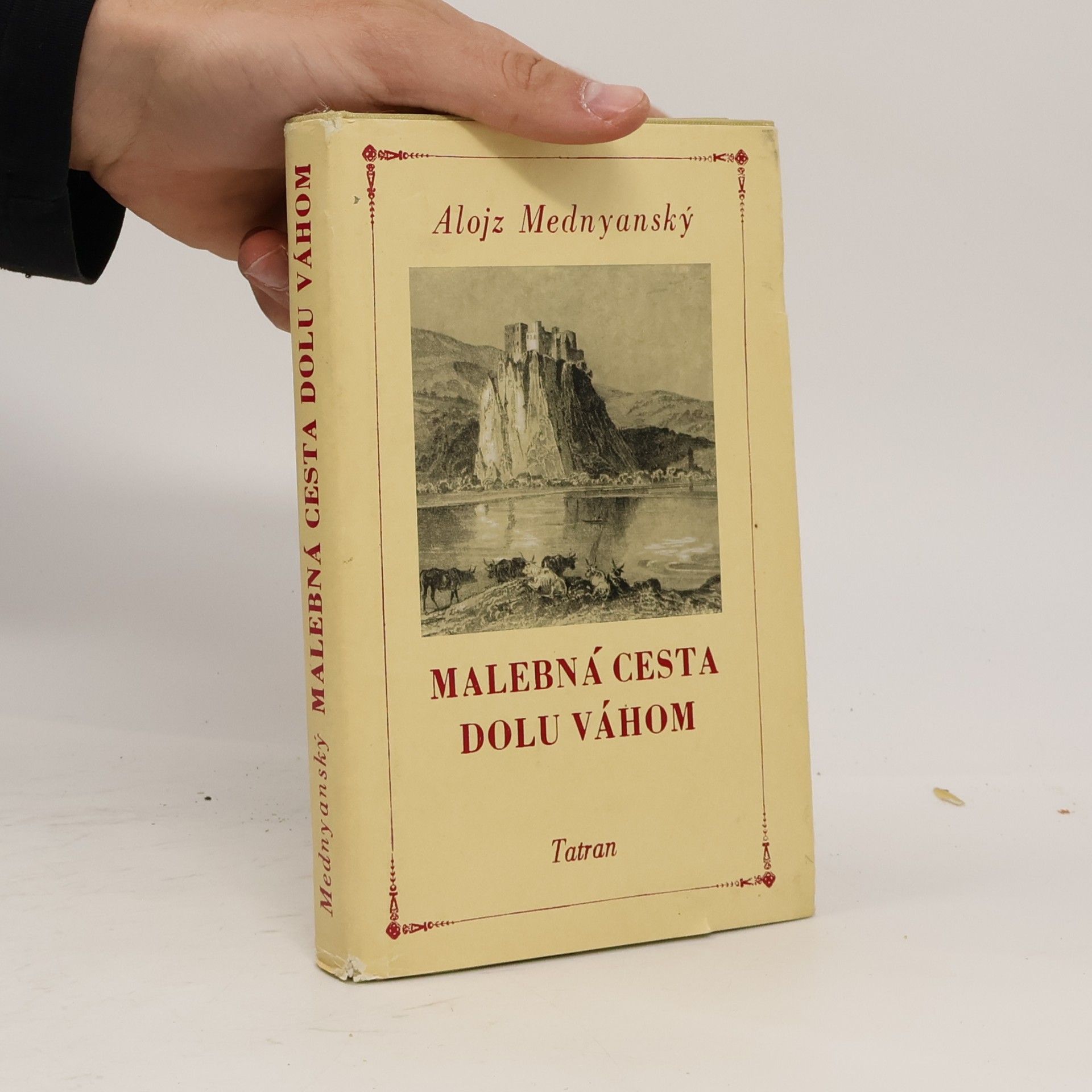 Alois Mednyánszky Malebná cesta dolu Váhom