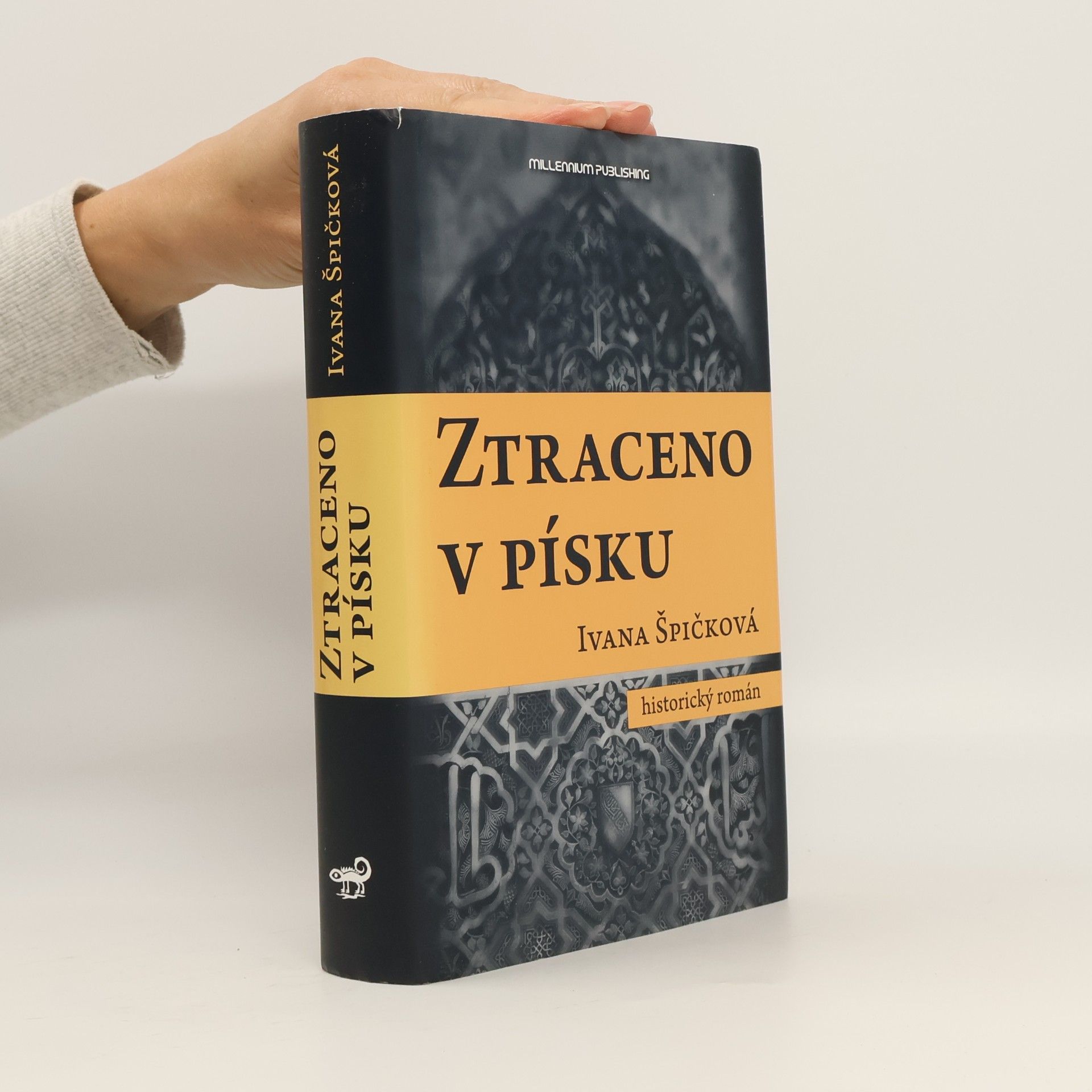 Ivana Špičková Ztraceno v písku