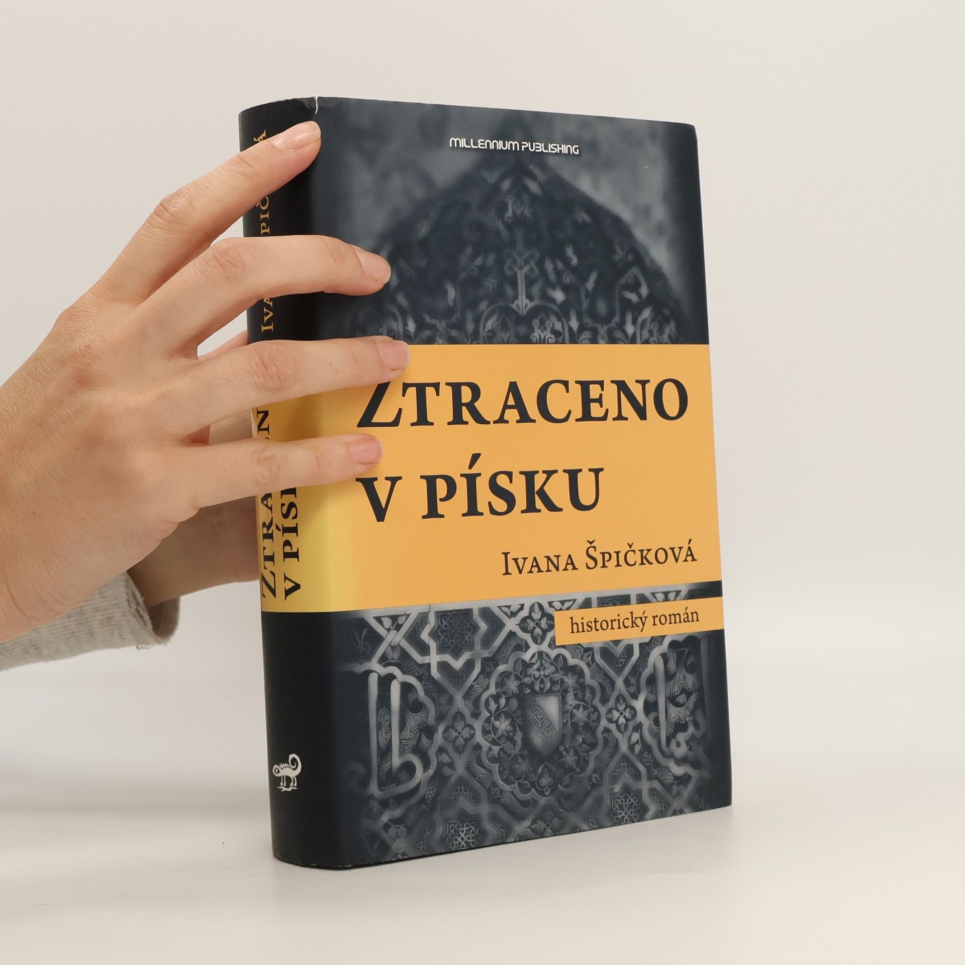 Ivana Špičková Ztraceno v písku