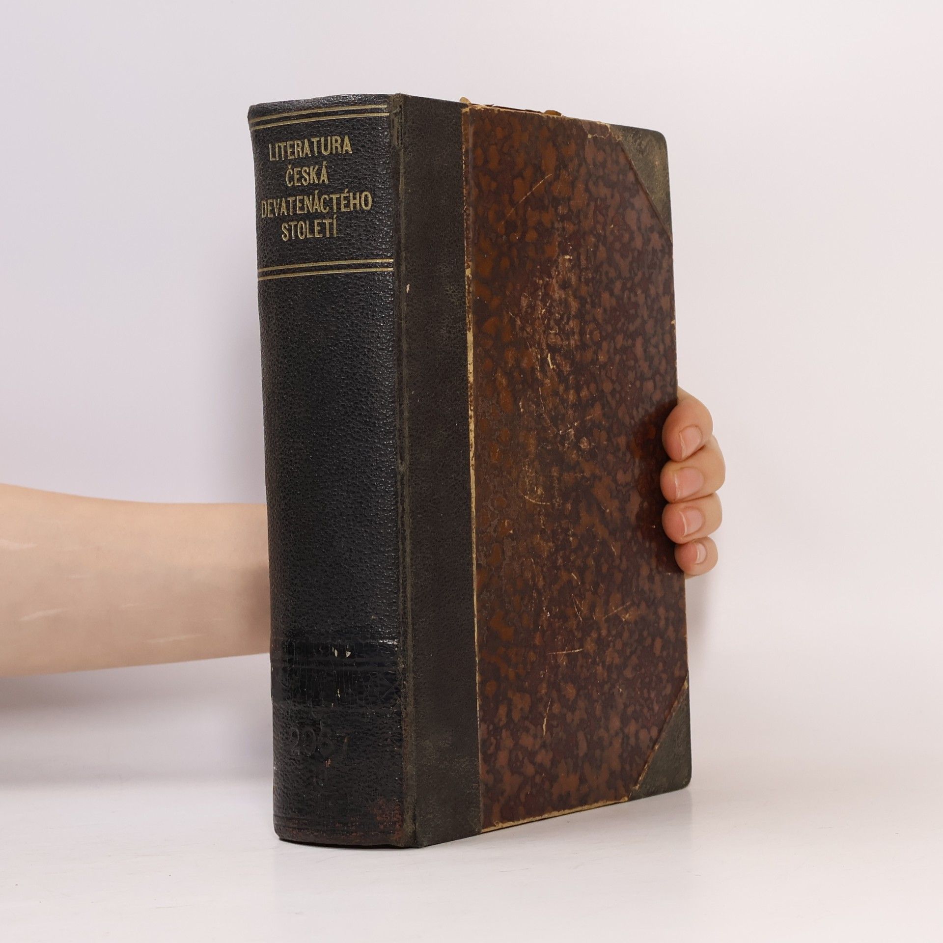 Josef Hanus Literatura česká devatenáctého století I.