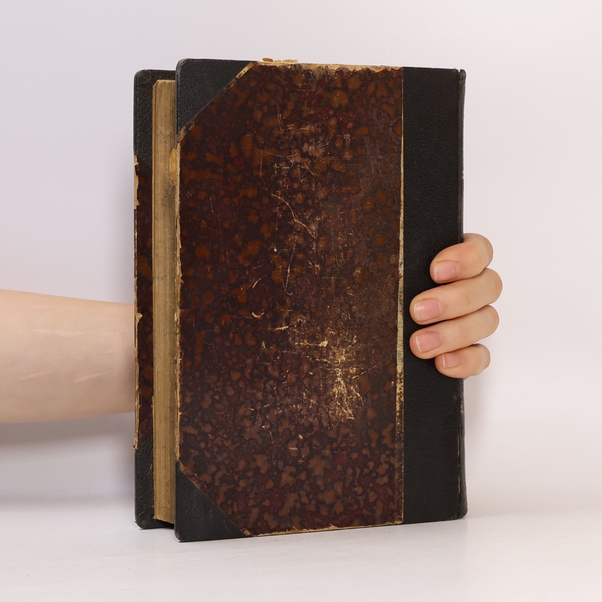 Josef Hanus Literatura česká devatenáctého století I.