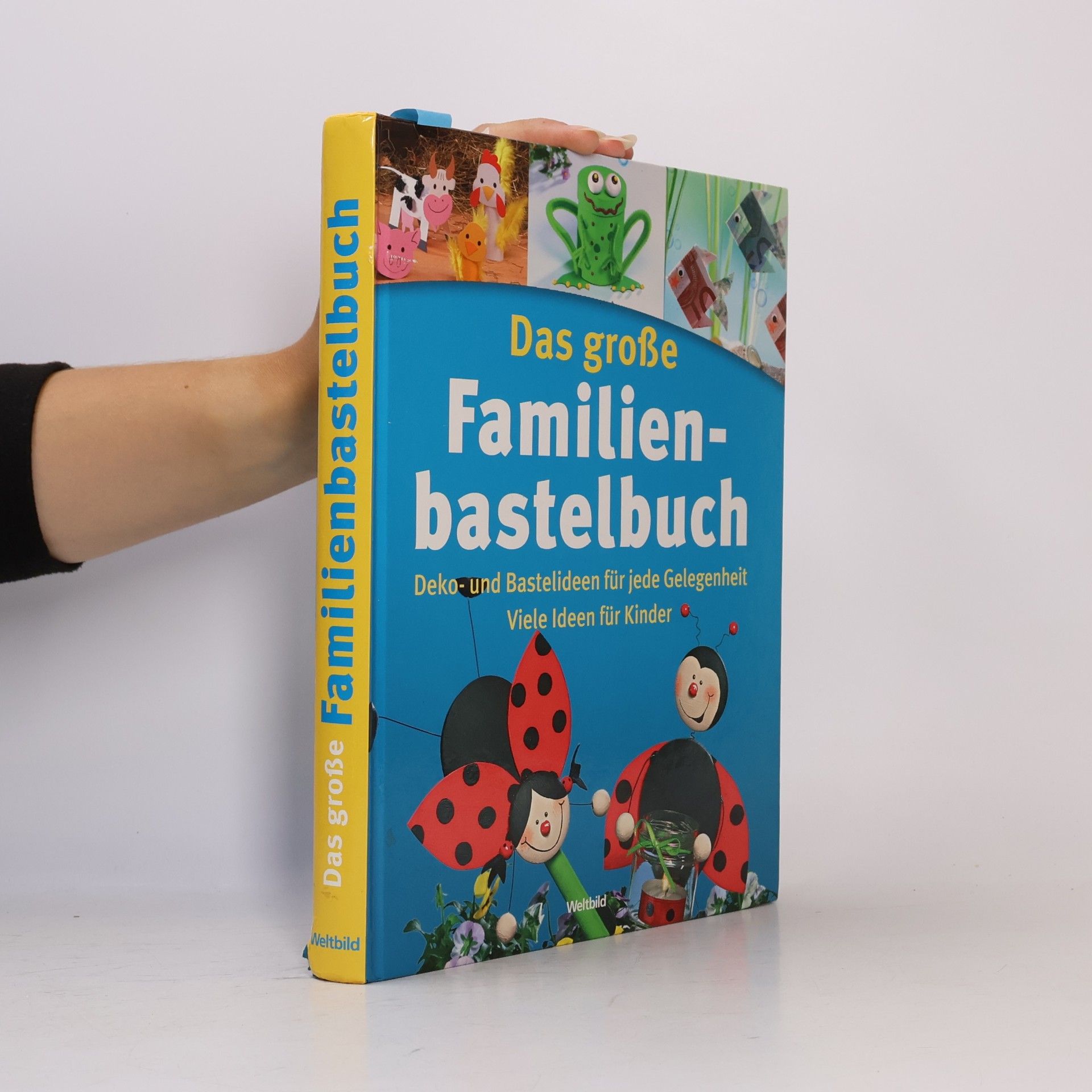 Autorenkollektiv Das große Familienbastelbuch