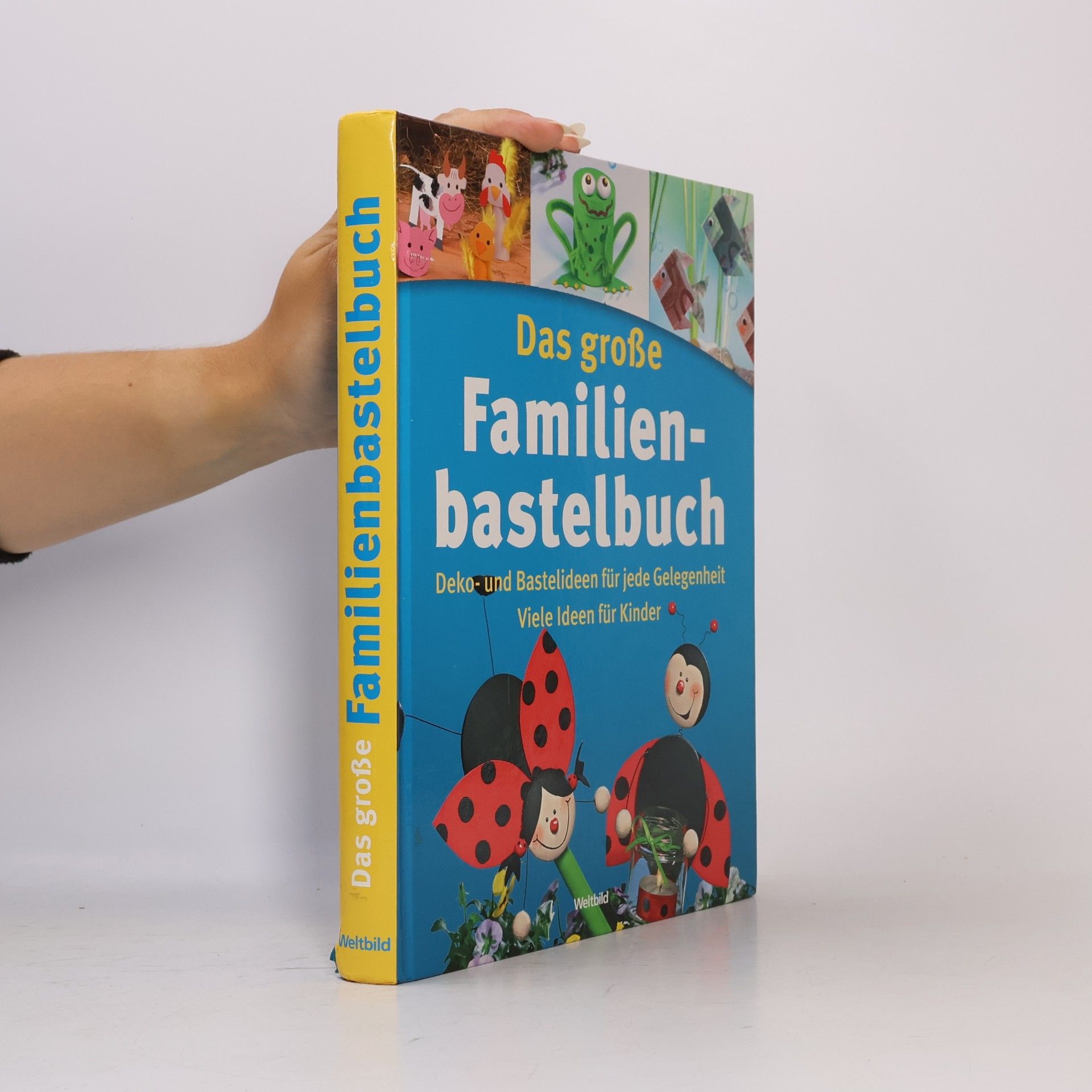 Autorenkollektiv Das große Familienbastelbuch