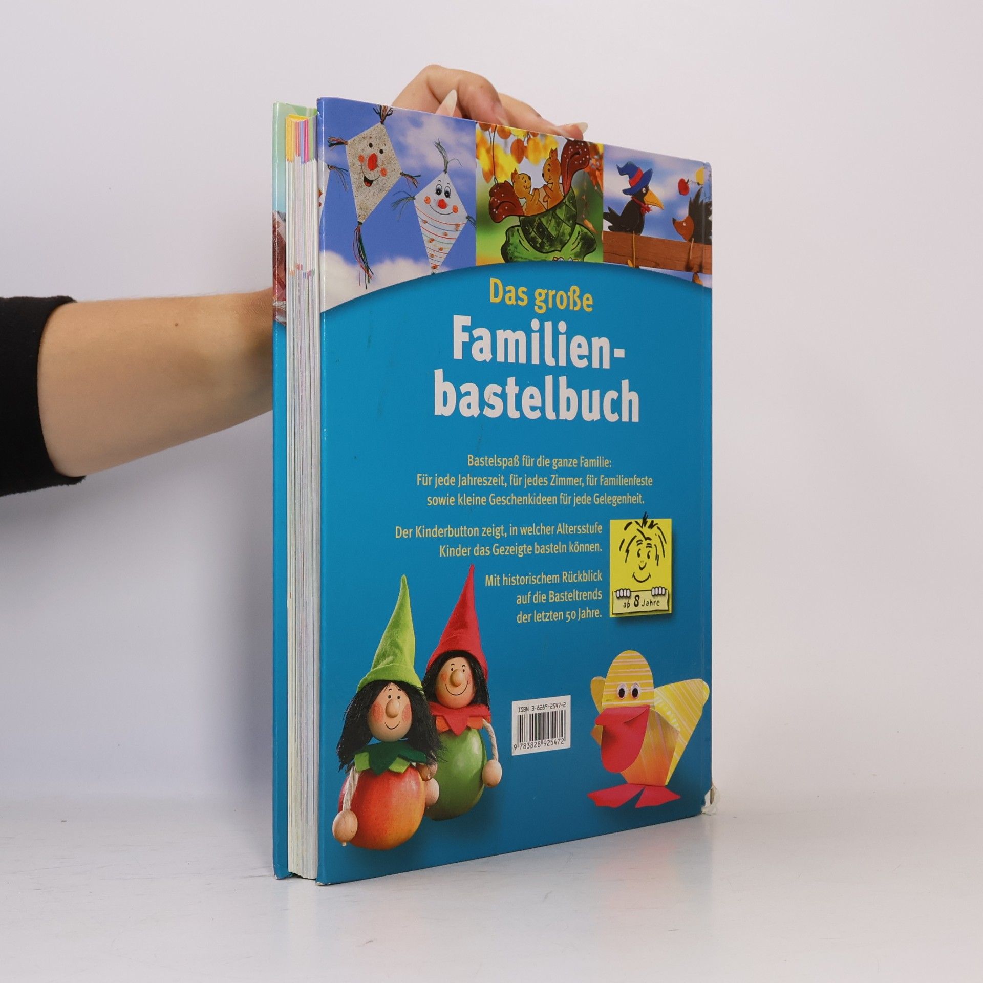 Autorenkollektiv Das große Familienbastelbuch