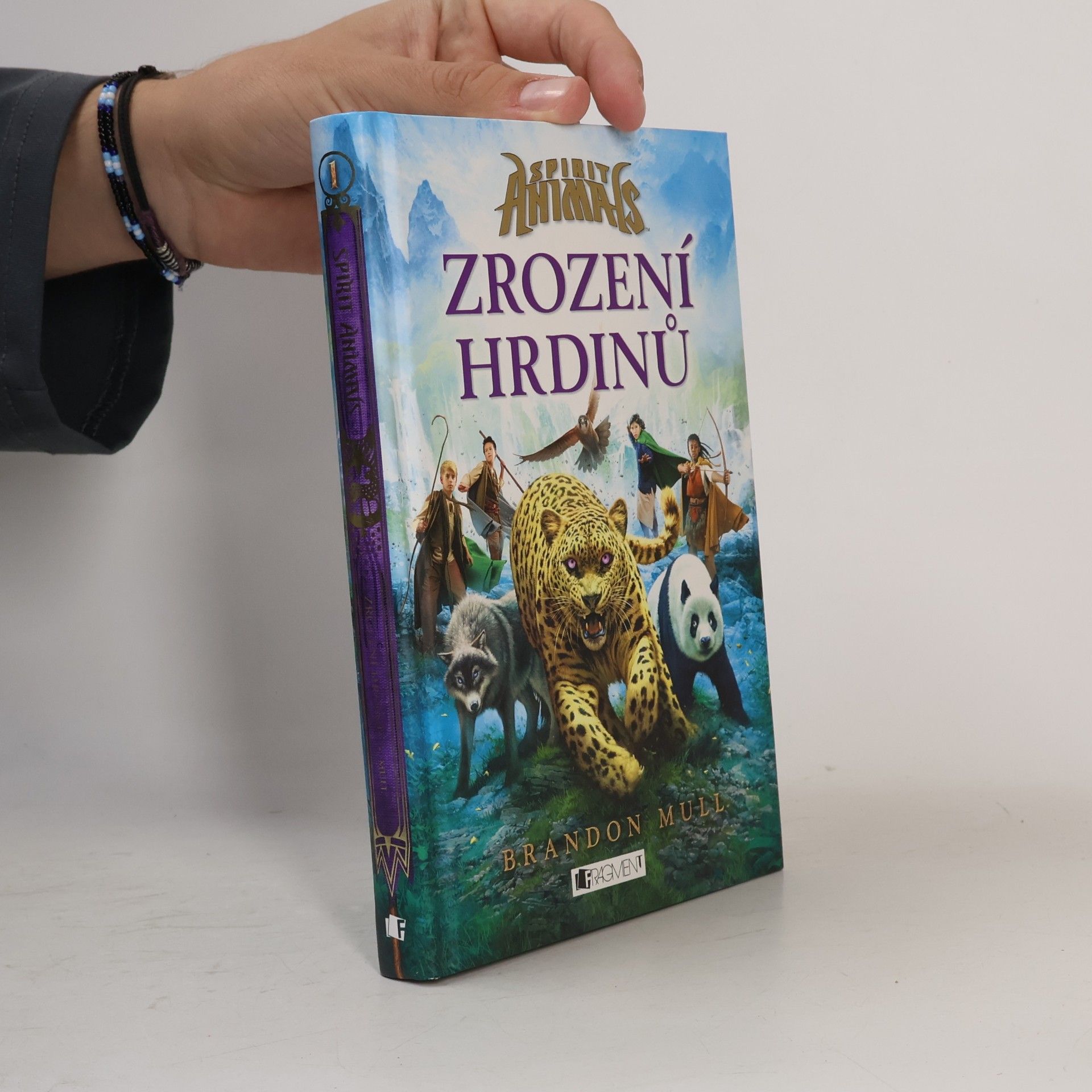 Brandon Mull Zrození hrdinů