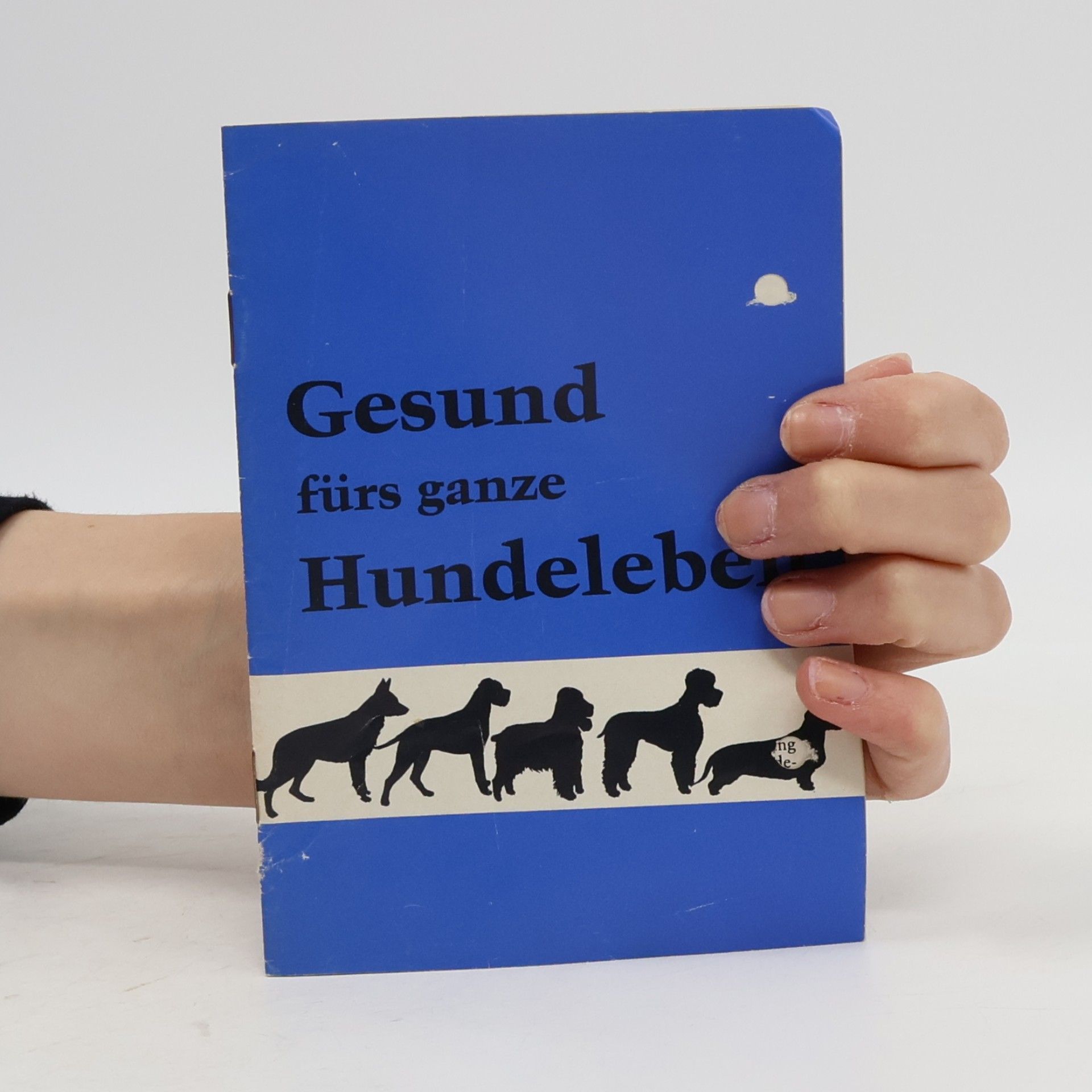 Various authors Gesund fürs ganze Hundeleben