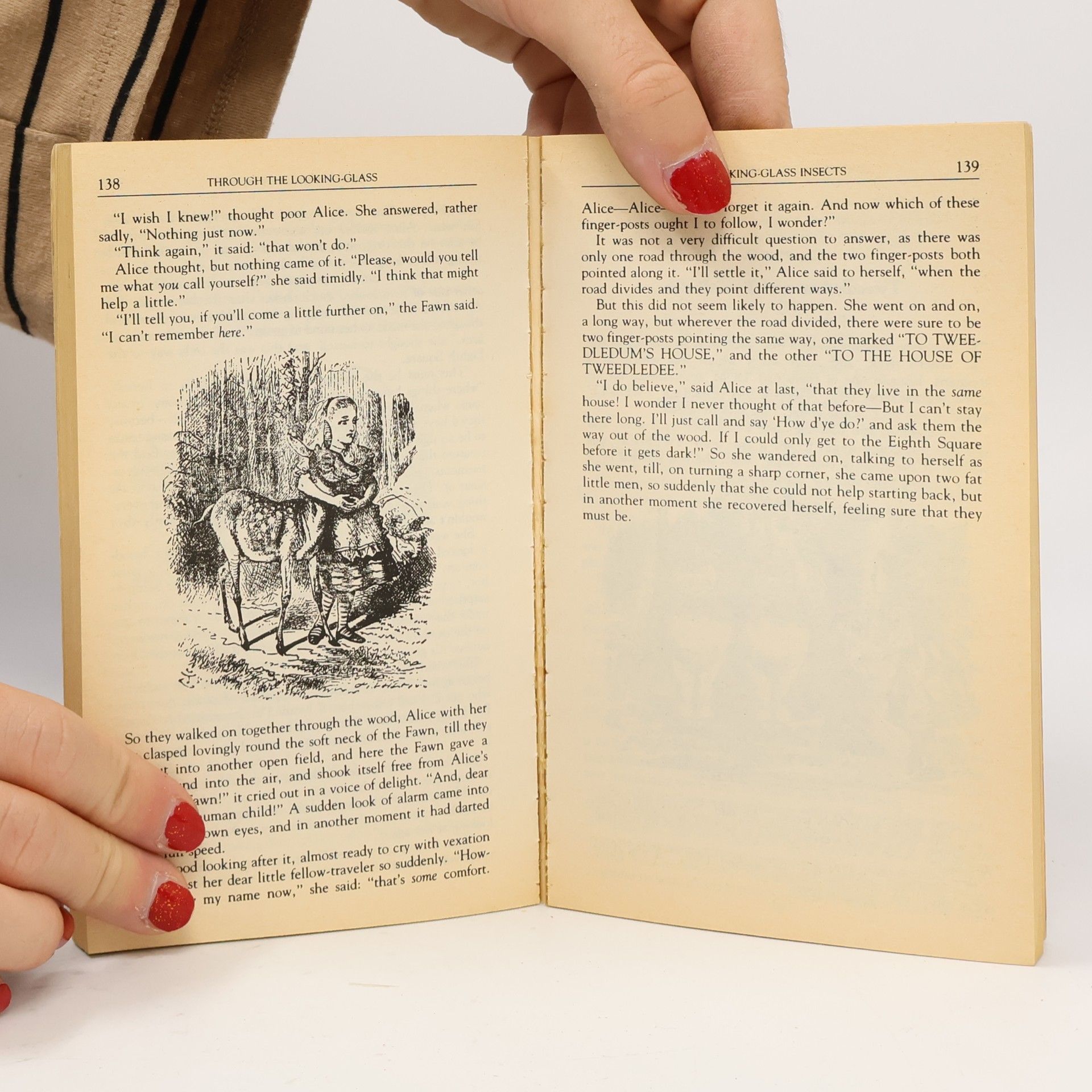 Lewis Carroll Alice's Adventures in Wonderland & Through the Looking-Glass
