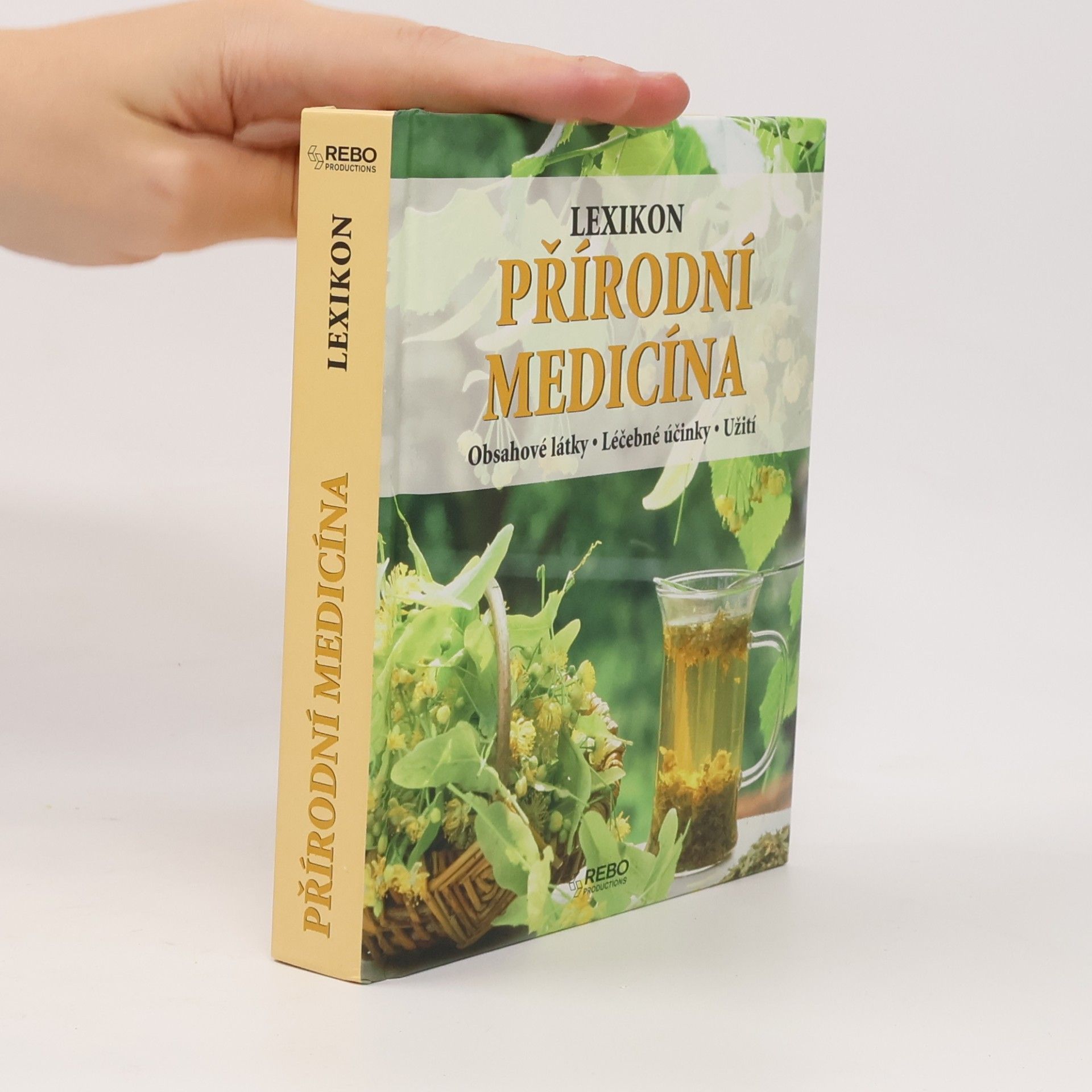 Anne Iburg Lexikon přírodní medicíny