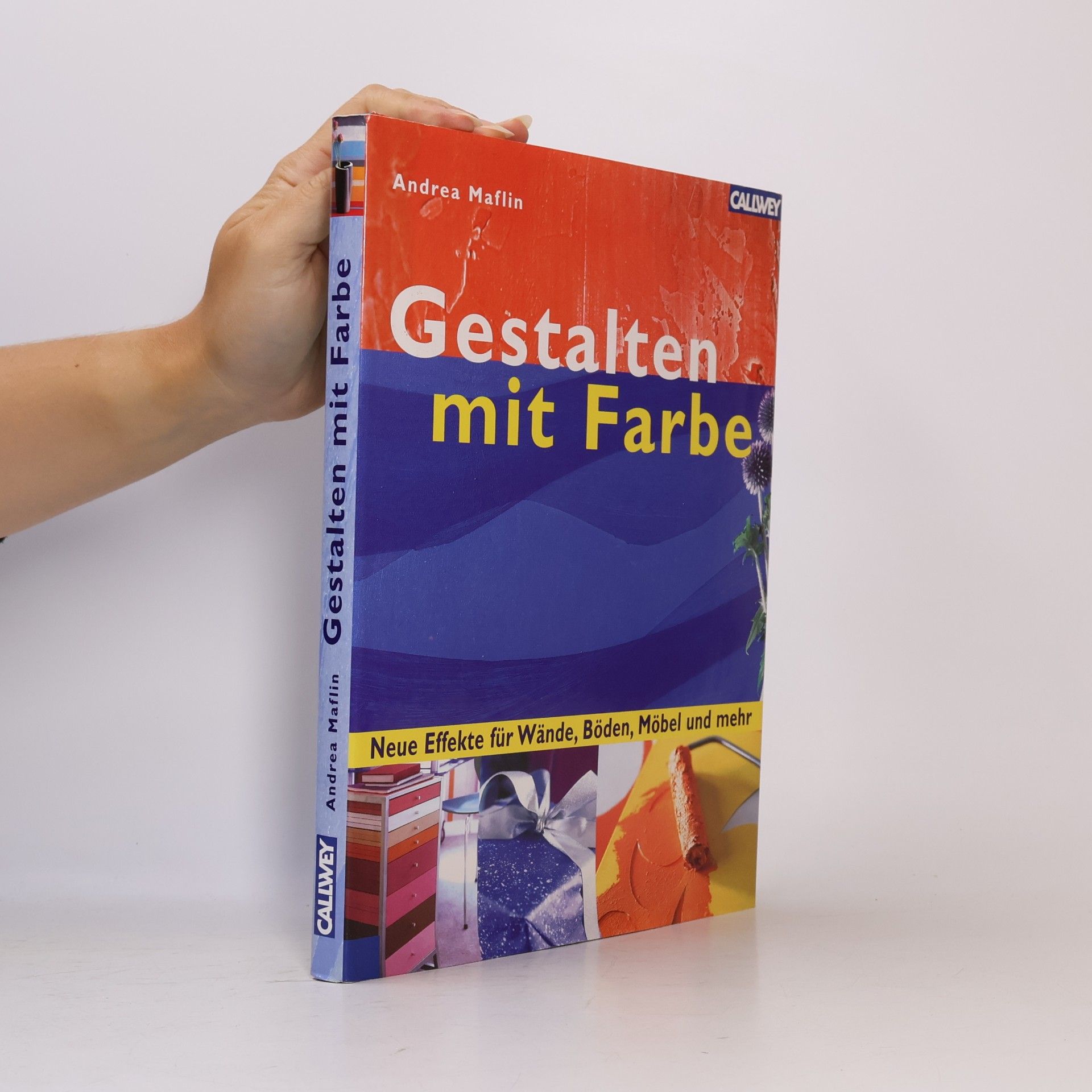 Andrea Maflin Gestalten mit Farben