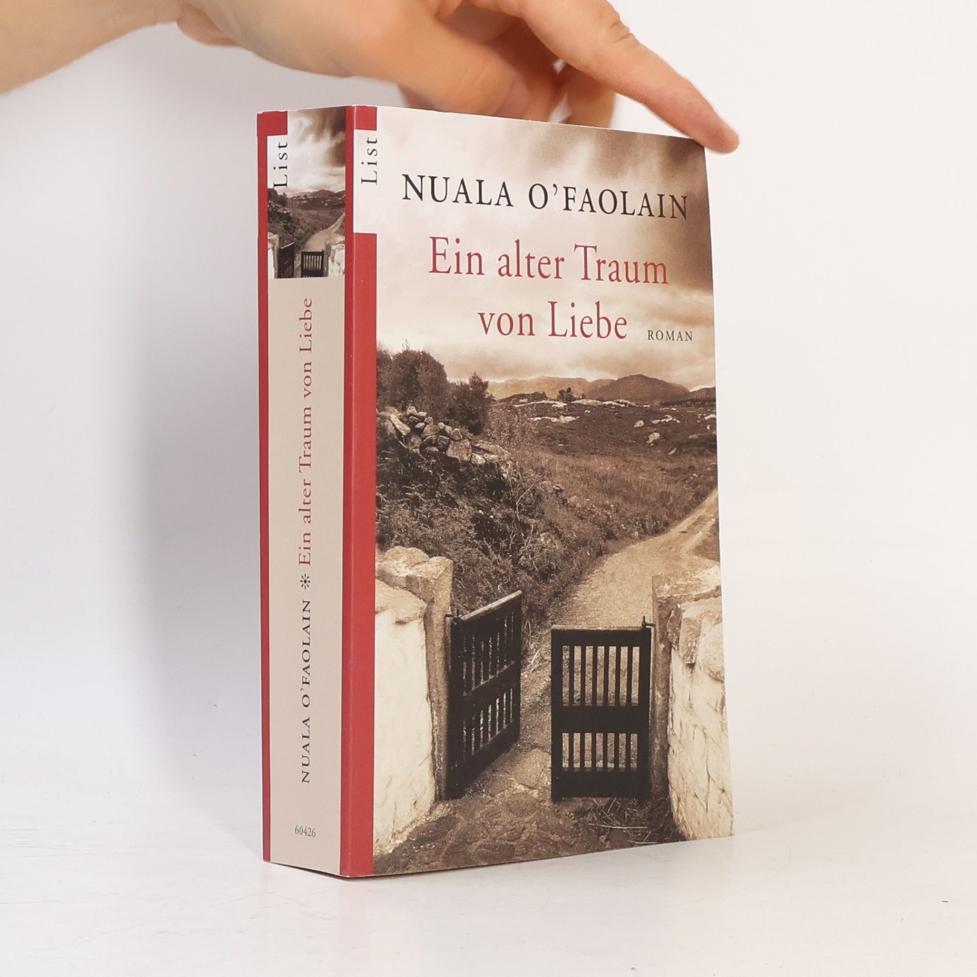Nuala O. Faolain Ein alter Traum von Liebe