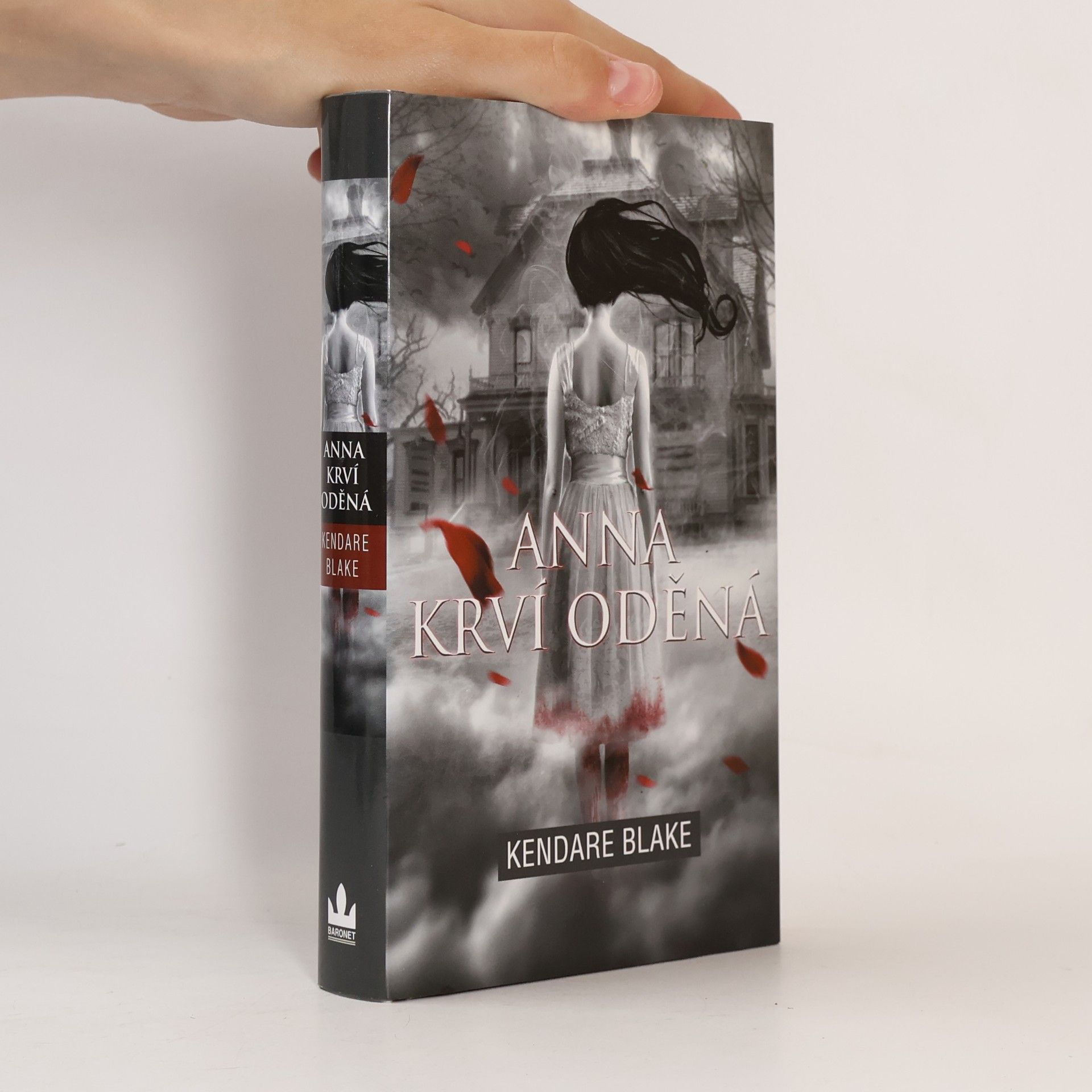 Kendare Blake Anna krví oděná